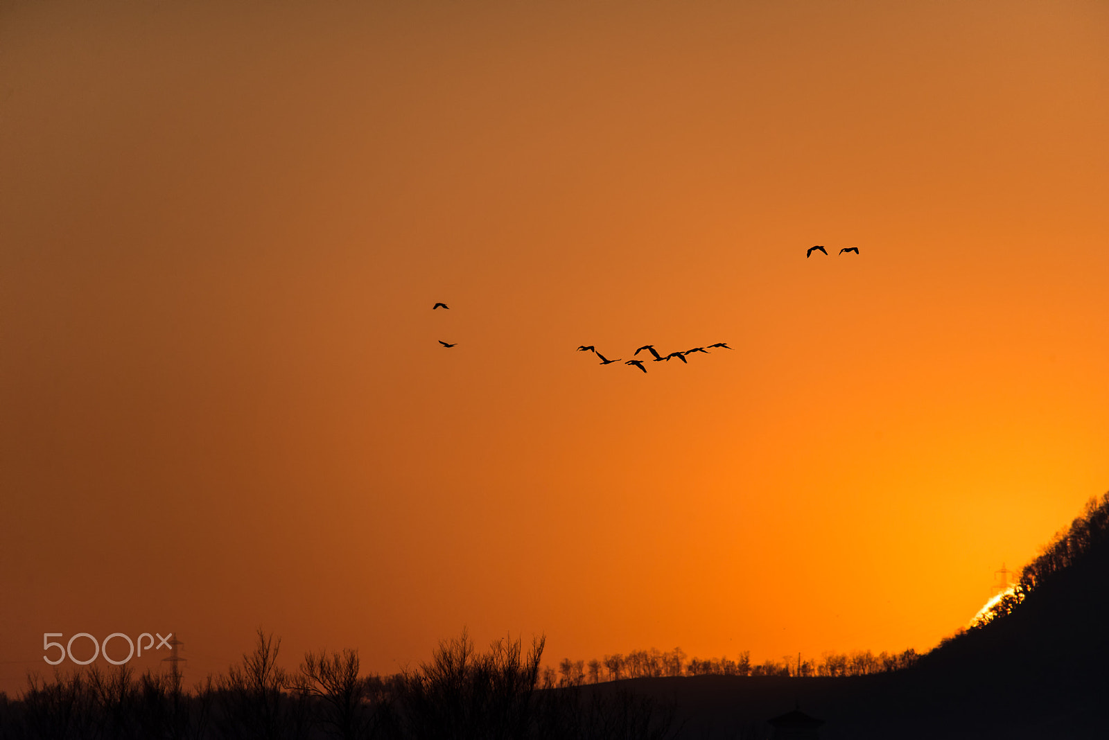 Sigma 150-500mm F5-6.3 DG OS HSM sample photo. Chasing the sinking sun photography
