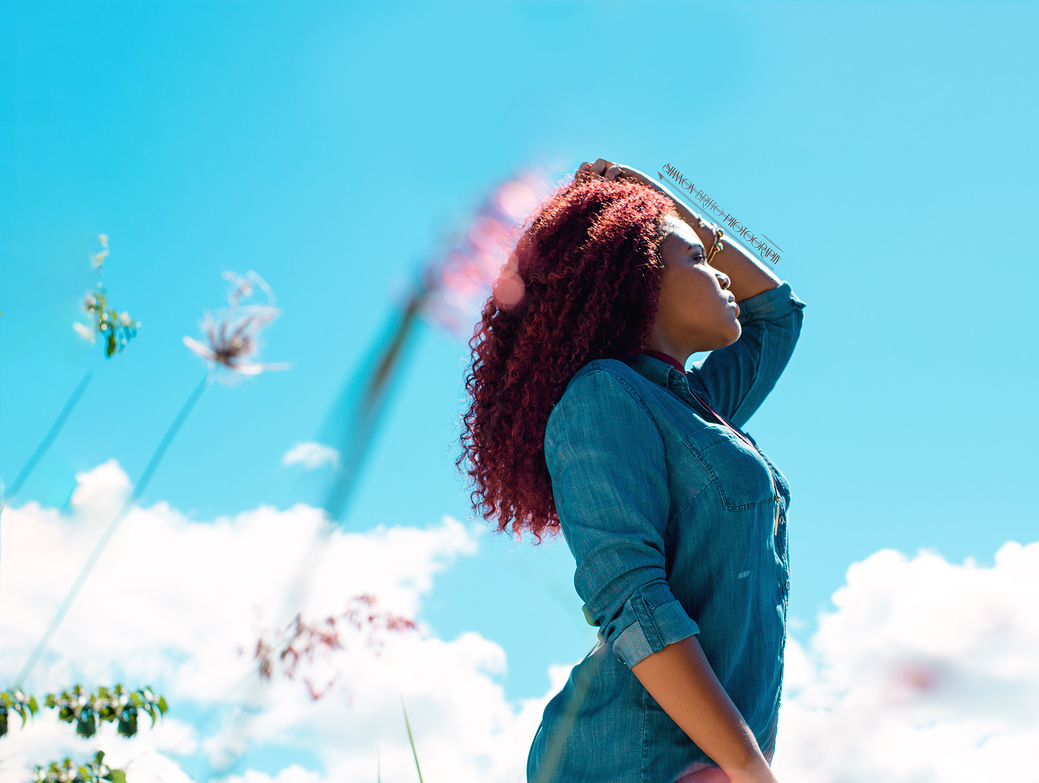 Pentax smc FA 50mm F1.4 sample photo. Ortus decorem photography