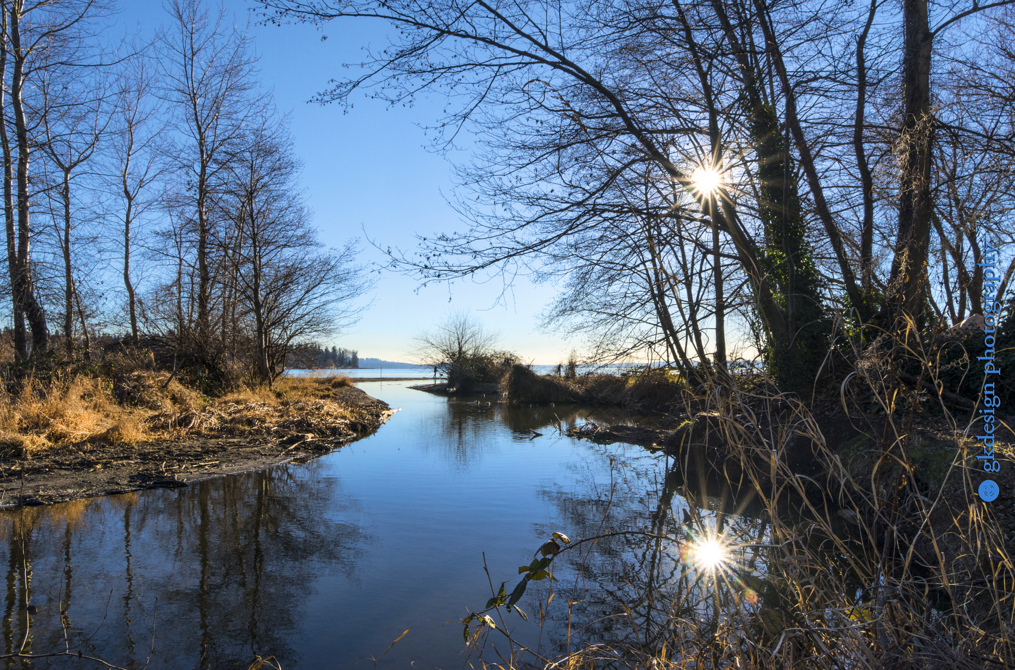 Nikon D610 sample photo. Winter reflections photography