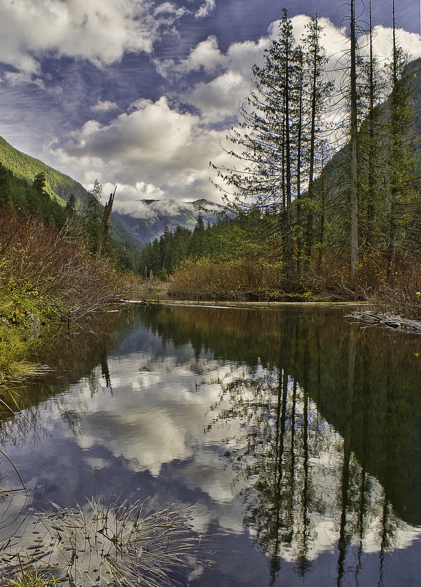 Sony Alpha DSLR-A700 sample photo. Sumalo river photography