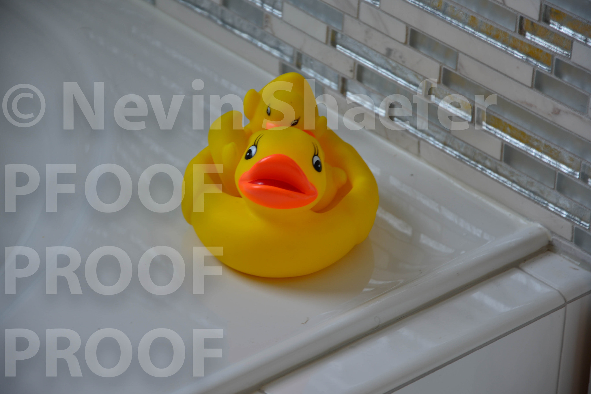Nikon D800 sample photo. Poh photography