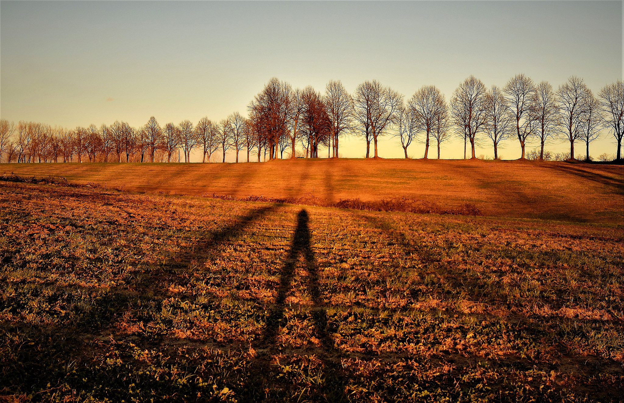 Nikon D5500 sample photo. Shadows at sunset photography