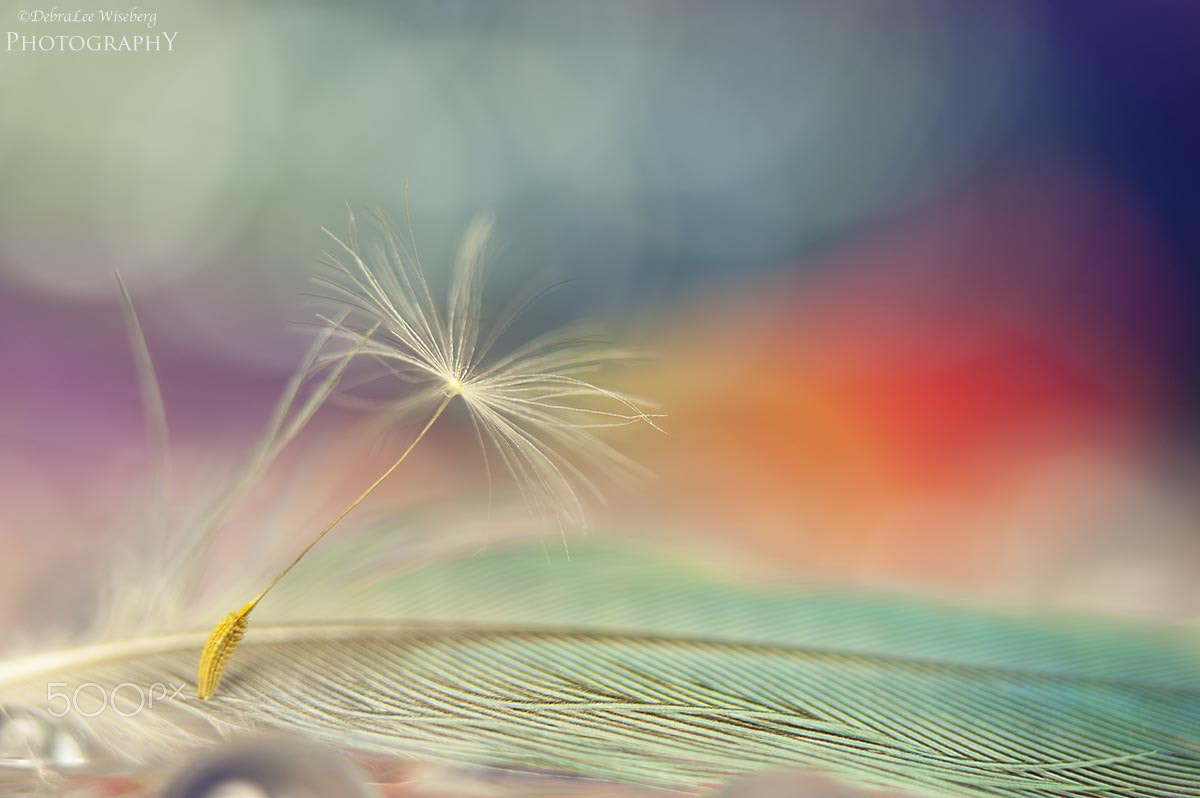 Nikon AF-S Micro-Nikkor 60mm F2.8G ED sample photo. Dancing naked photography