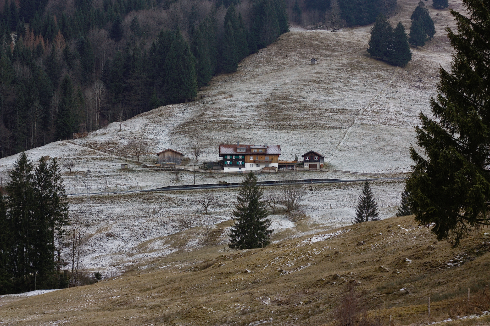 Canon EF 50mm F1.8 STM sample photo. Bavarian mountain pasture photography