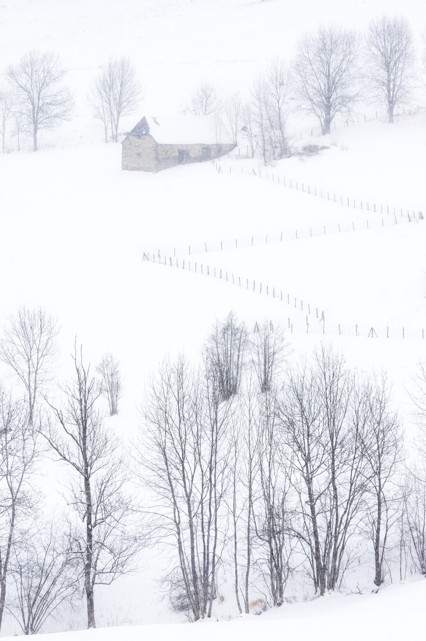 Pentax K-3 sample photo. Let it snow photography
