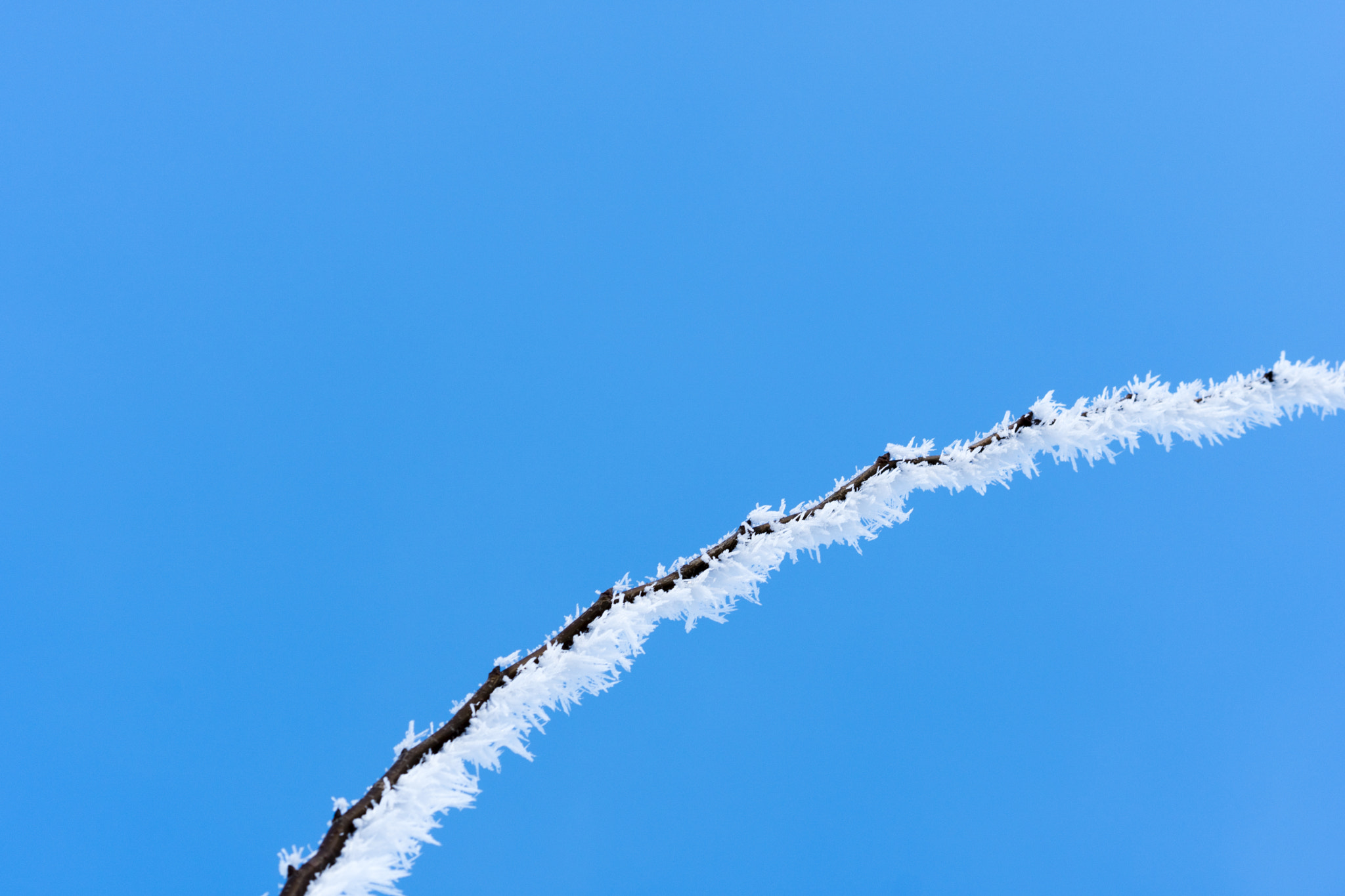 Sony a6300 sample photo. Hairfrost, voltweg, rijssen, the netherlands photography