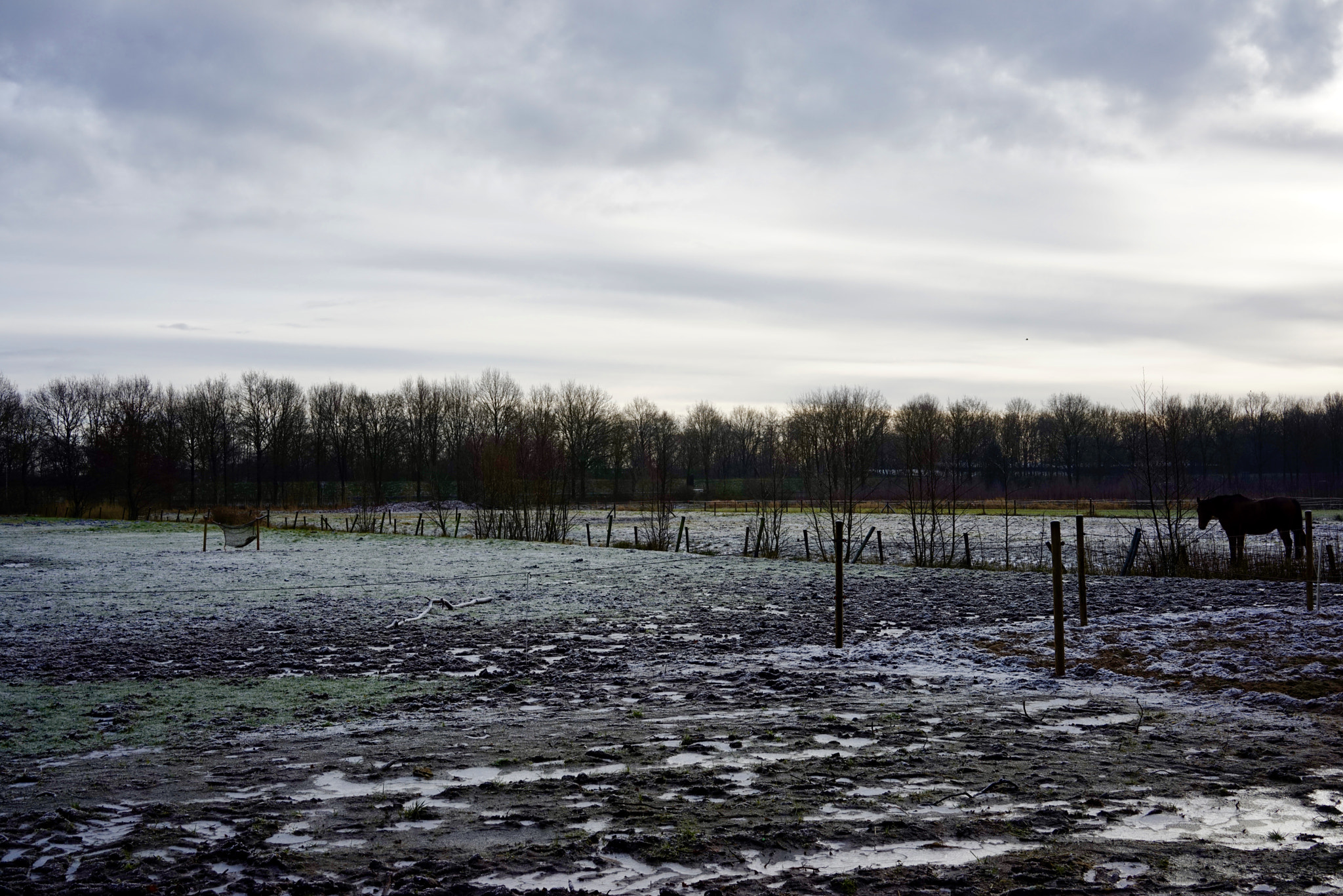 Sony a7R + Sony Sonnar T* FE 35mm F2.8 ZA sample photo. "gray and green" photography