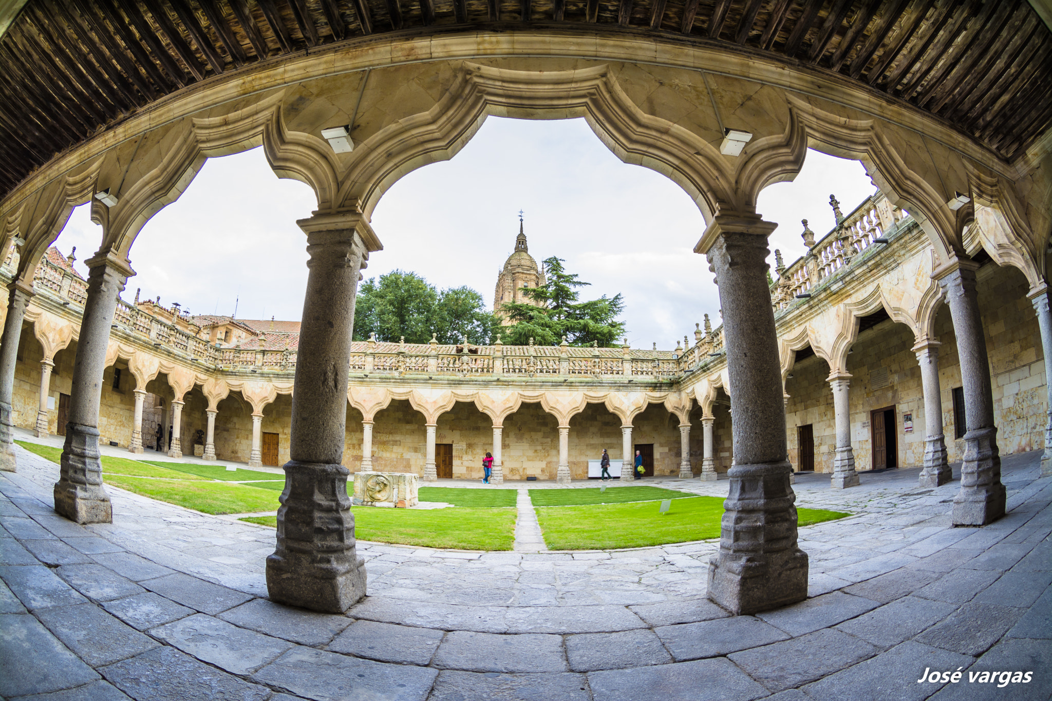 Nikon AF DX Fisheye-Nikkor 10.5mm F2.8G ED sample photo. Universidad de salamanca photography