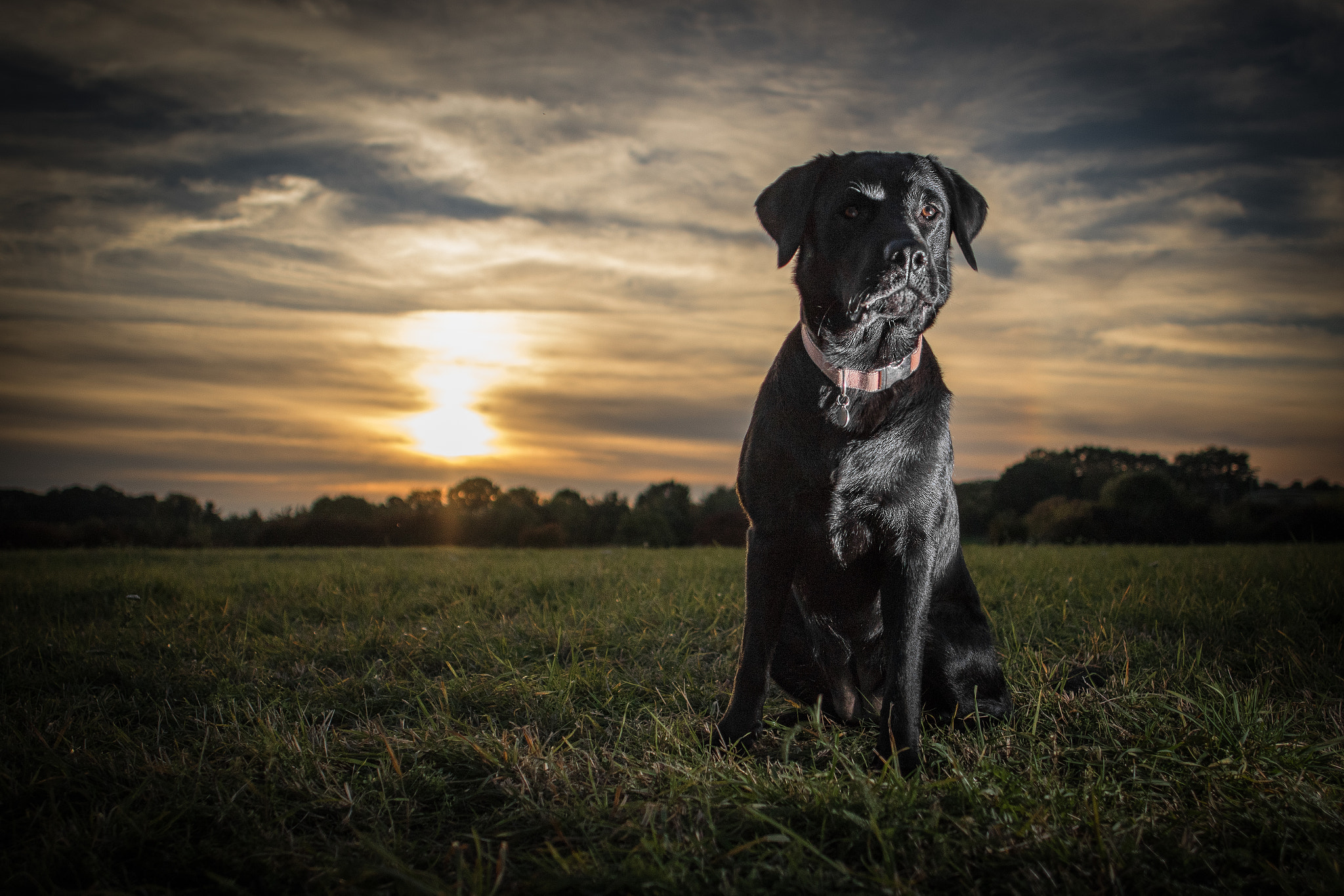 Canon EF 24mm F2.8 IS USM sample photo. Sunsetlab photography