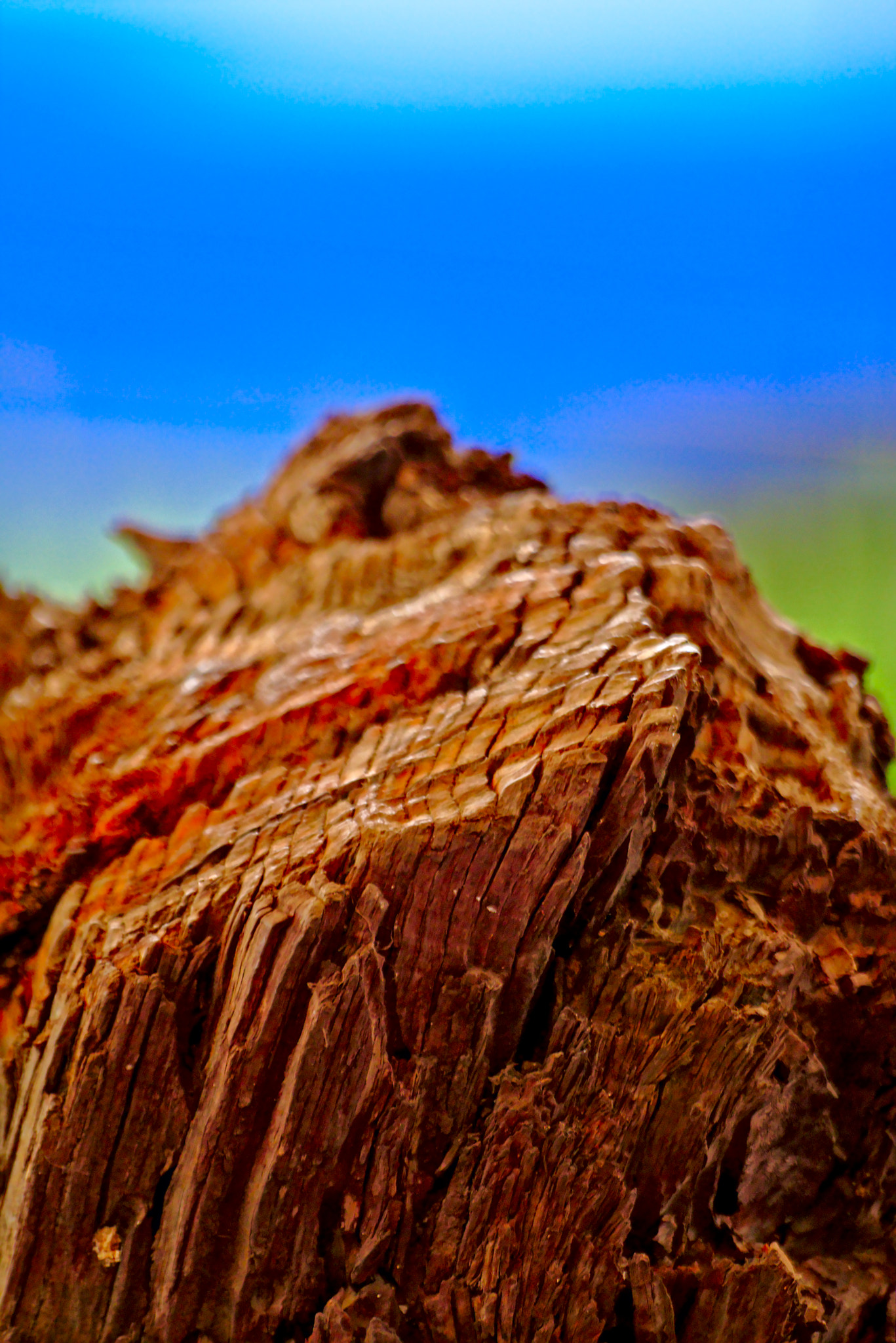 Sigma 70-300mm F4-5.6 APO DG Macro sample photo. Piece of an old ship photography