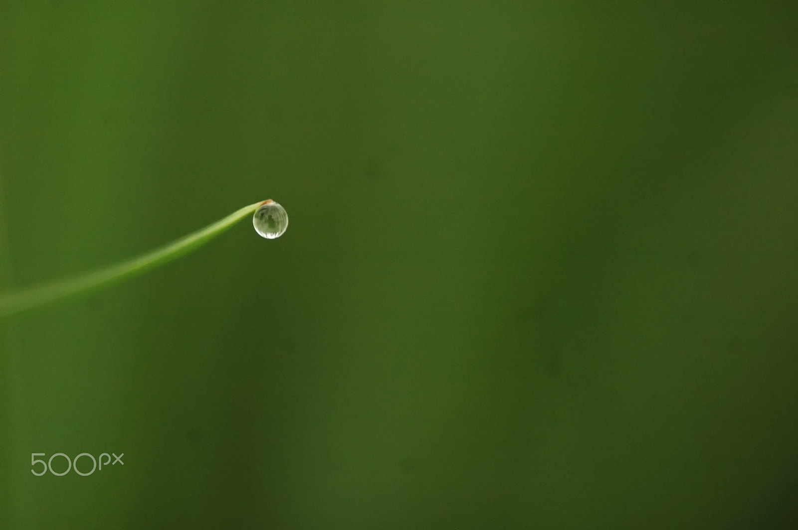 Nikon D70 sample photo. Drop photography
