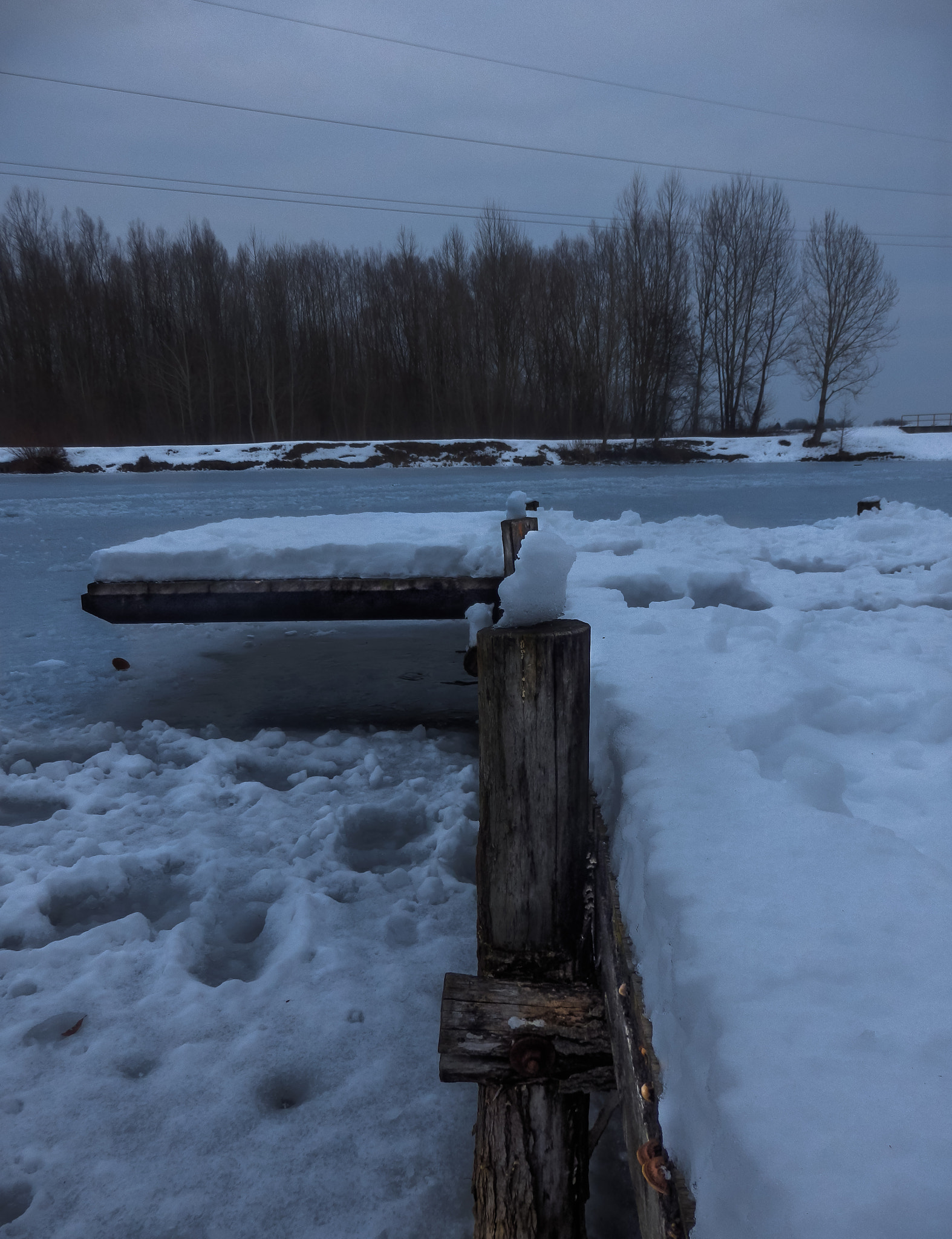 Olympus SZ-31MR sample photo. Melting snow. photography