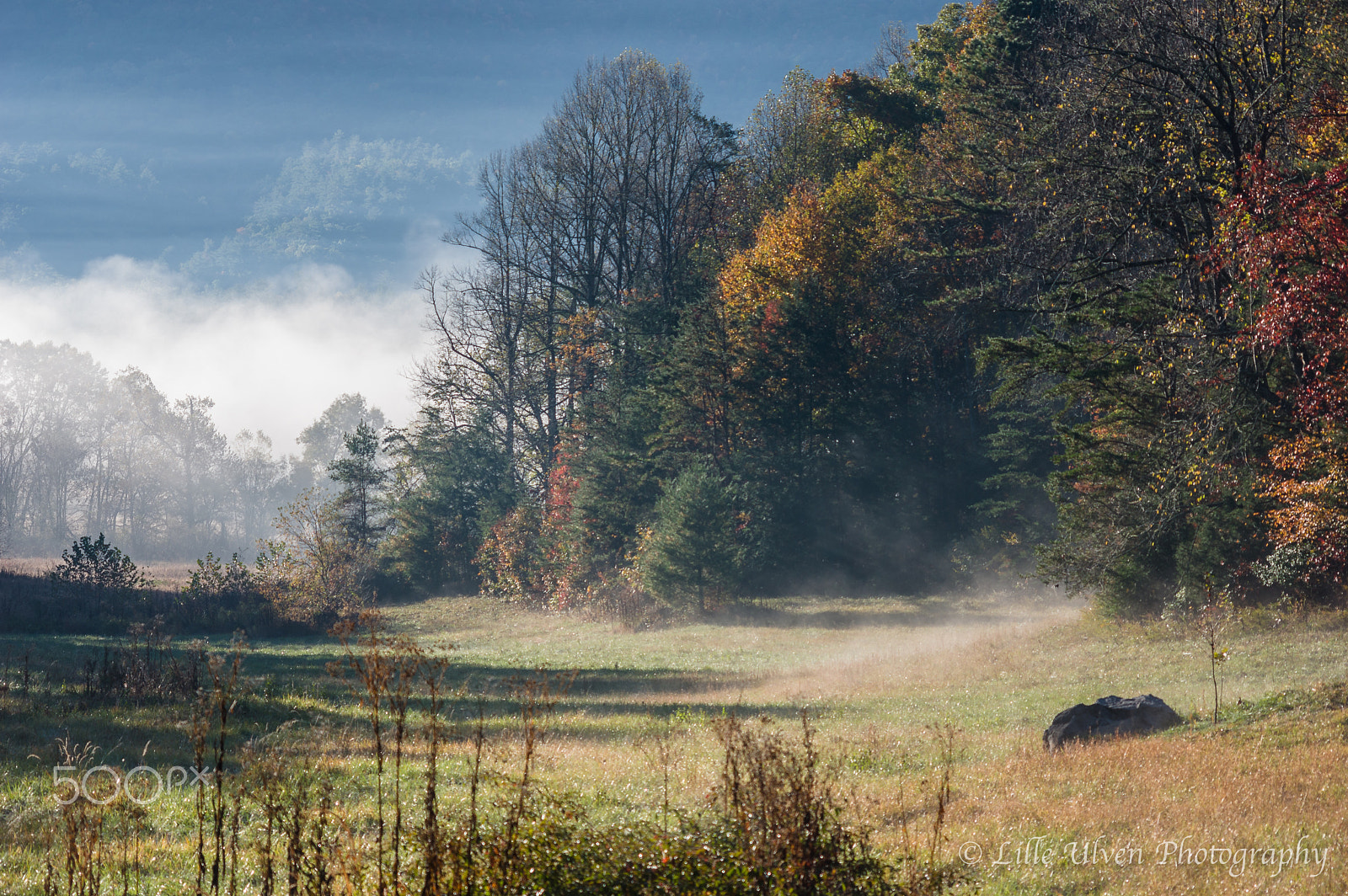 Pentax K-3 sample photo. Cades cove, great smoky mountains national park photography