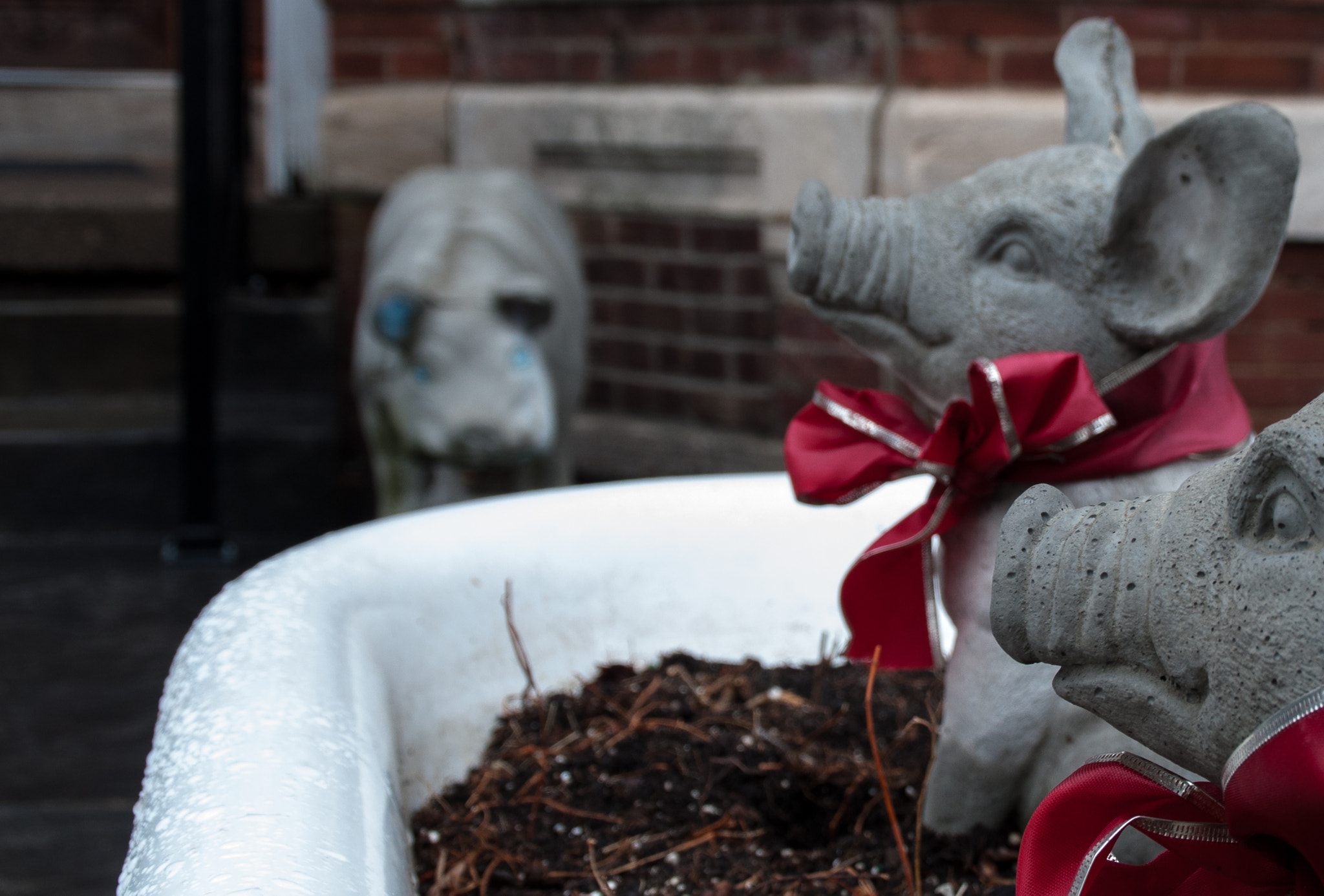 Nikon D5000 sample photo. Photographed by tieshka smith in evansville, indiana, between january 12-16, 2017. photography