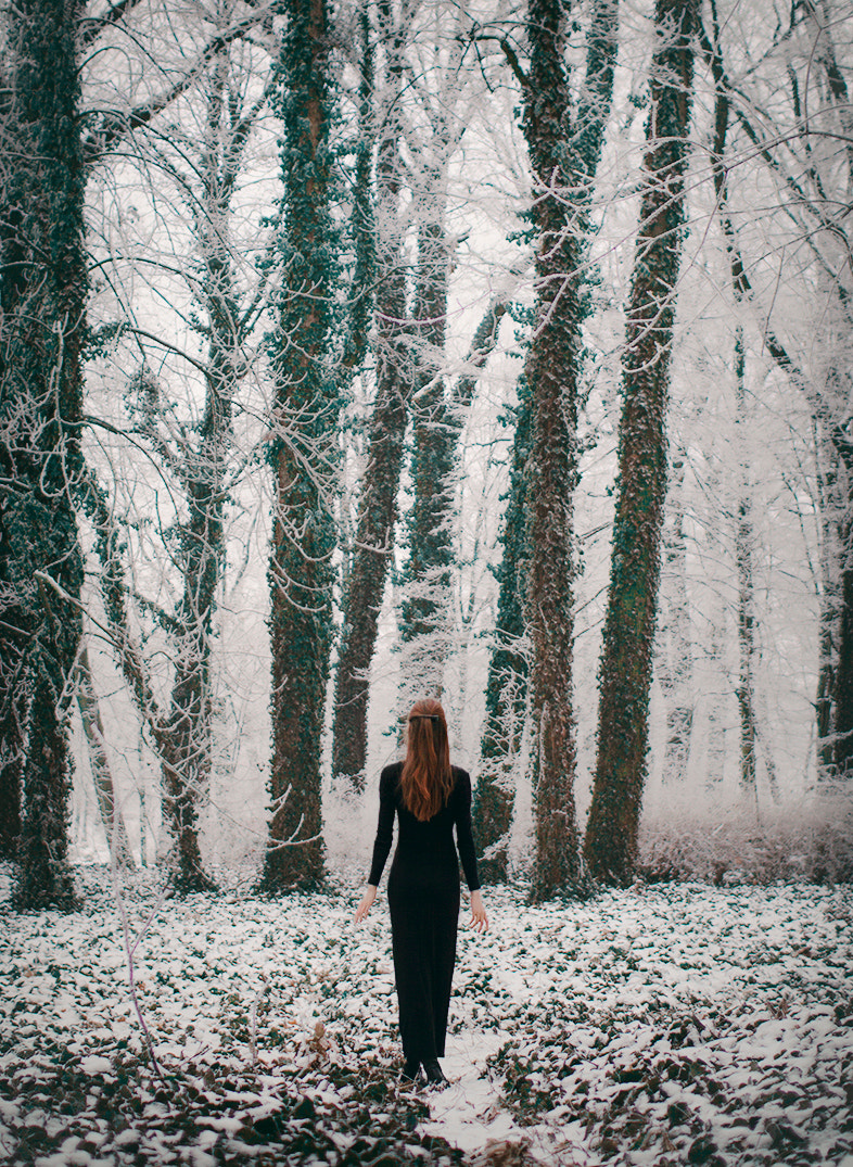 Sigma 30mm F1.4 EX DC HSM sample photo. Winter walks photography