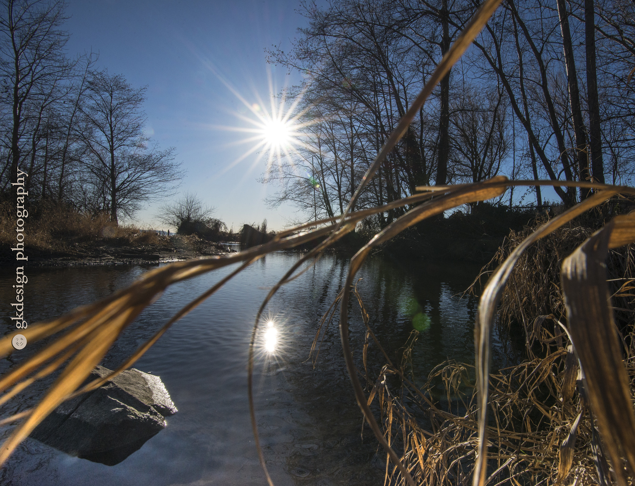 Nikon D610 sample photo. Golden winter grasses with sunbursts photography