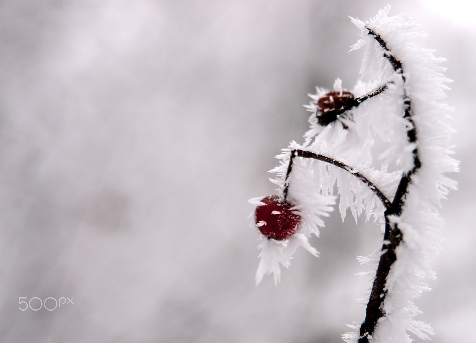 Sony Alpha DSLR-A700 + 24-70mm F2.8 sample photo. Winter photography