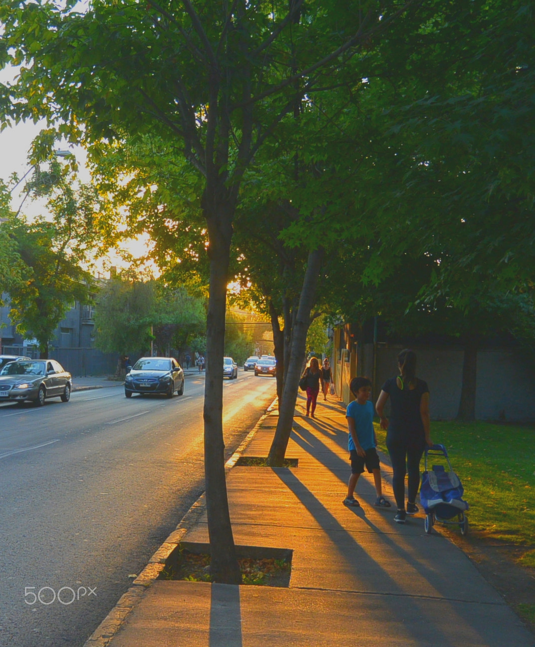 Nikon 1 S1 sample photo. Sunset on the street photography