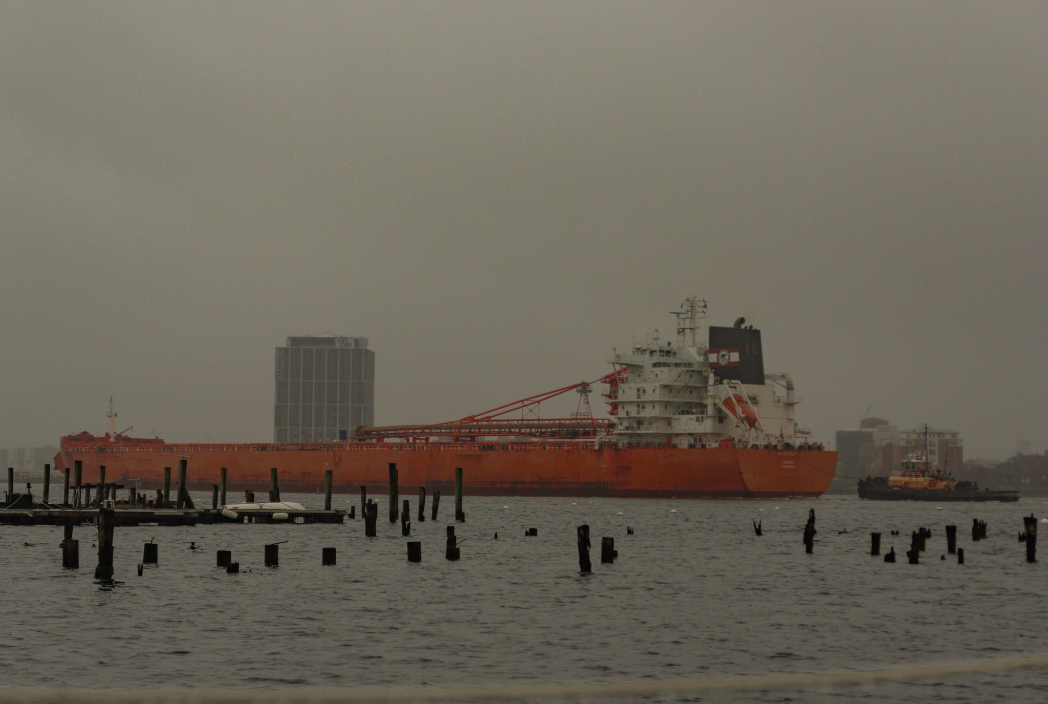 Pentax K-3 II sample photo. The morning view photography