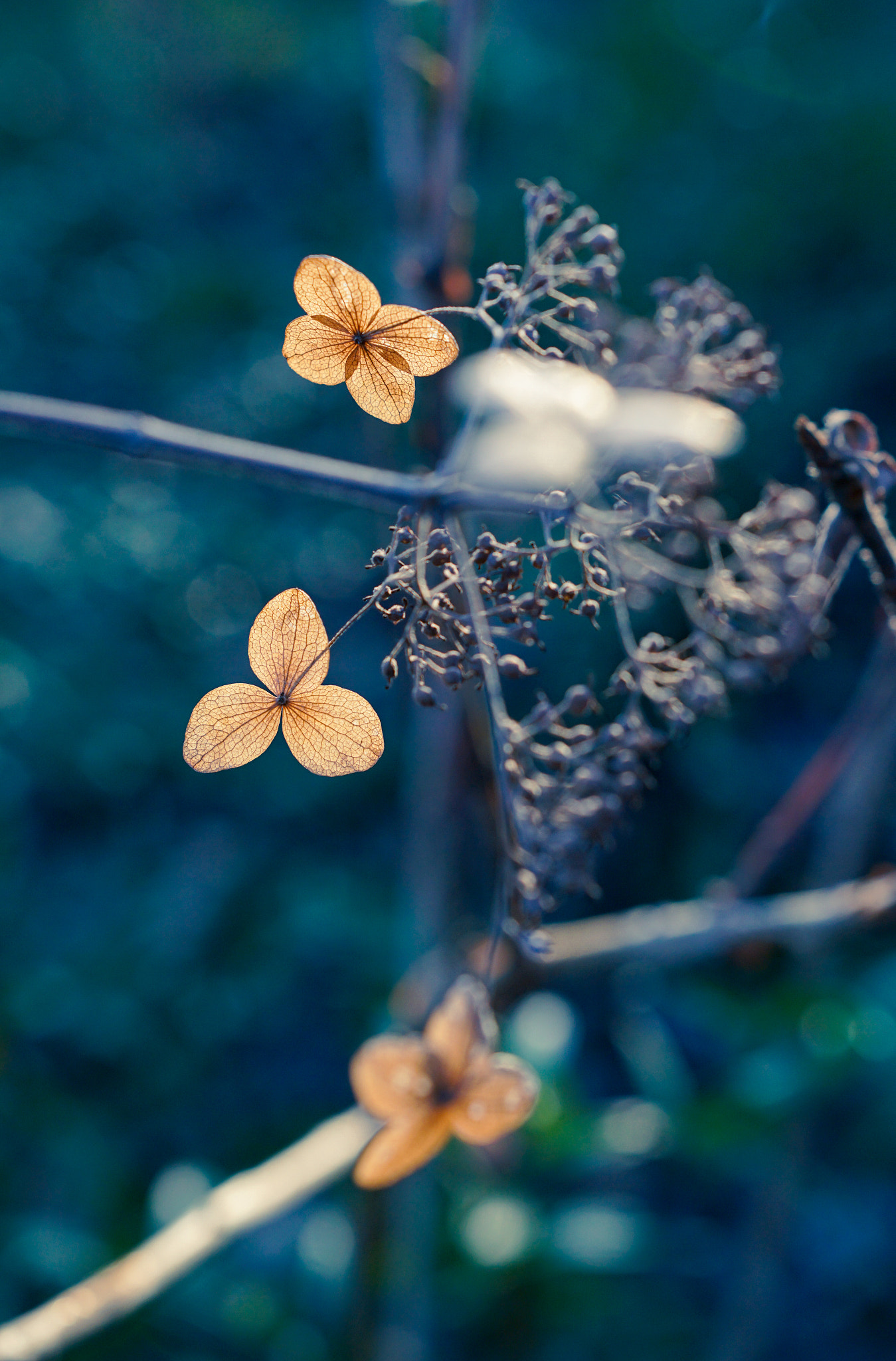 Sony a6300 + 18-35mm F1.8 DC HSM | Art 013 sample photo. One, two, three photography