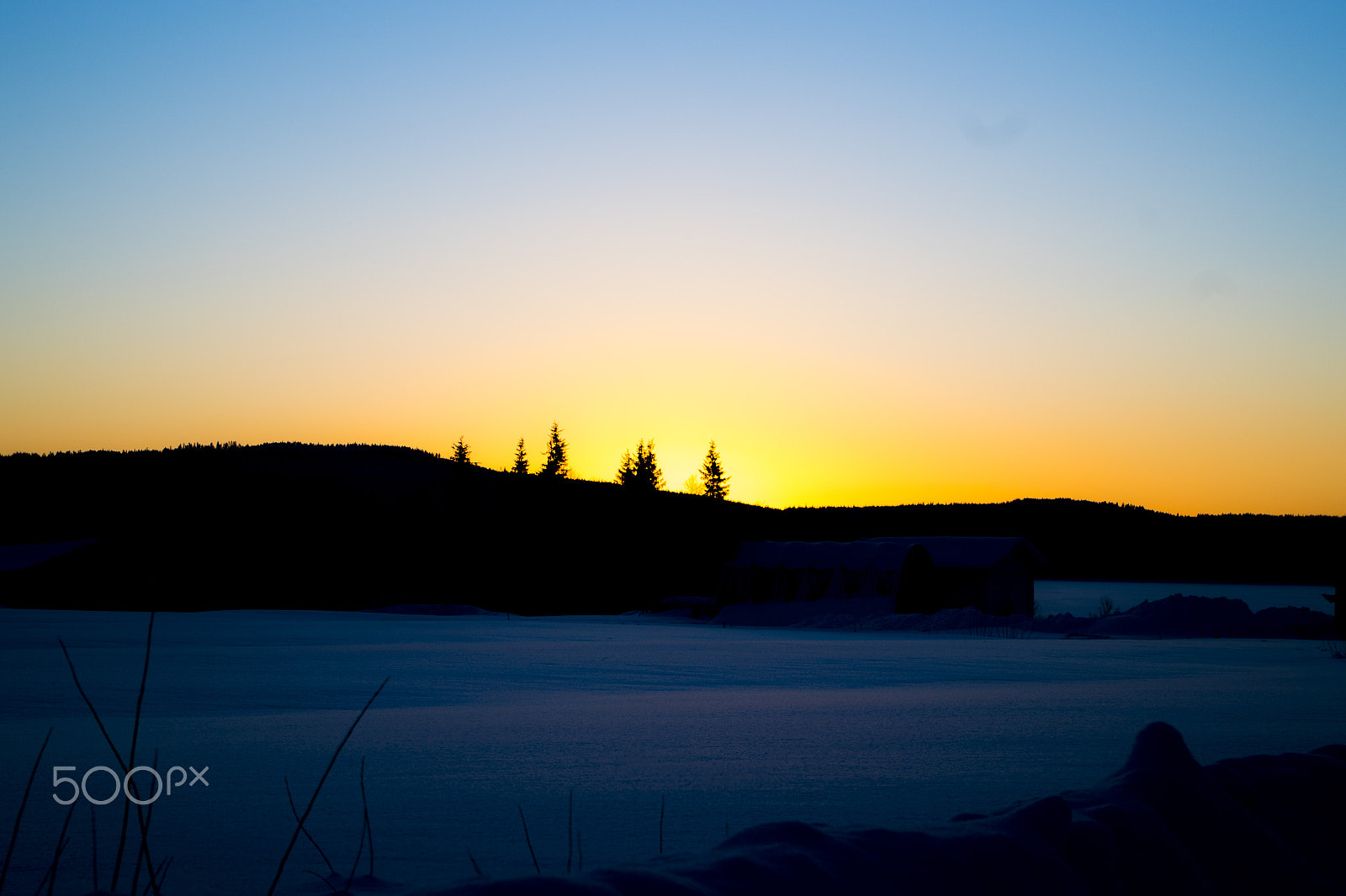 Pentax K-S1 sample photo. Siluetas graciosas photography