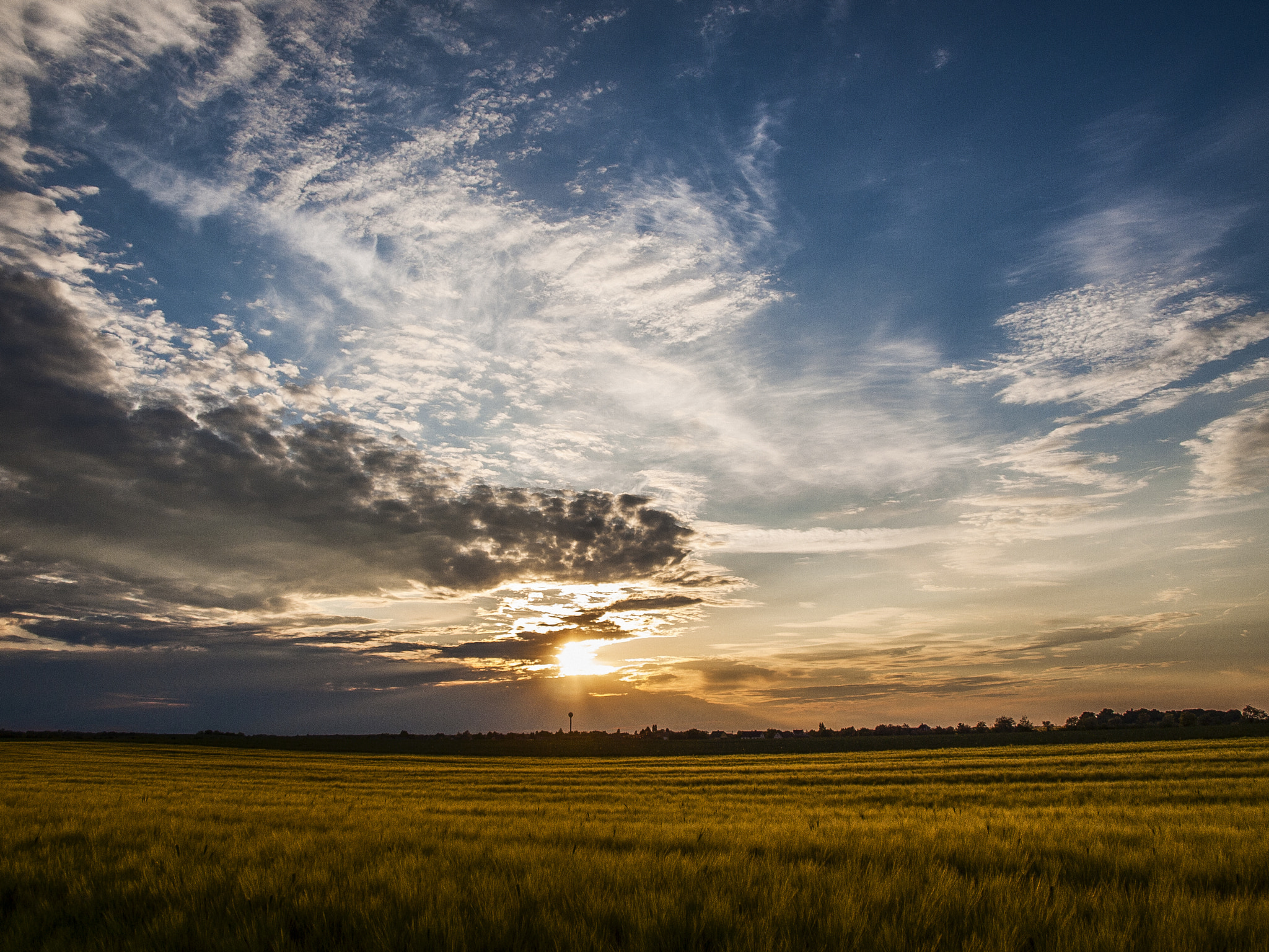 Olympus E-520 (EVOLT E-520) + OLYMPUS 14-42mm Lens sample photo. Sunset over the fields photography