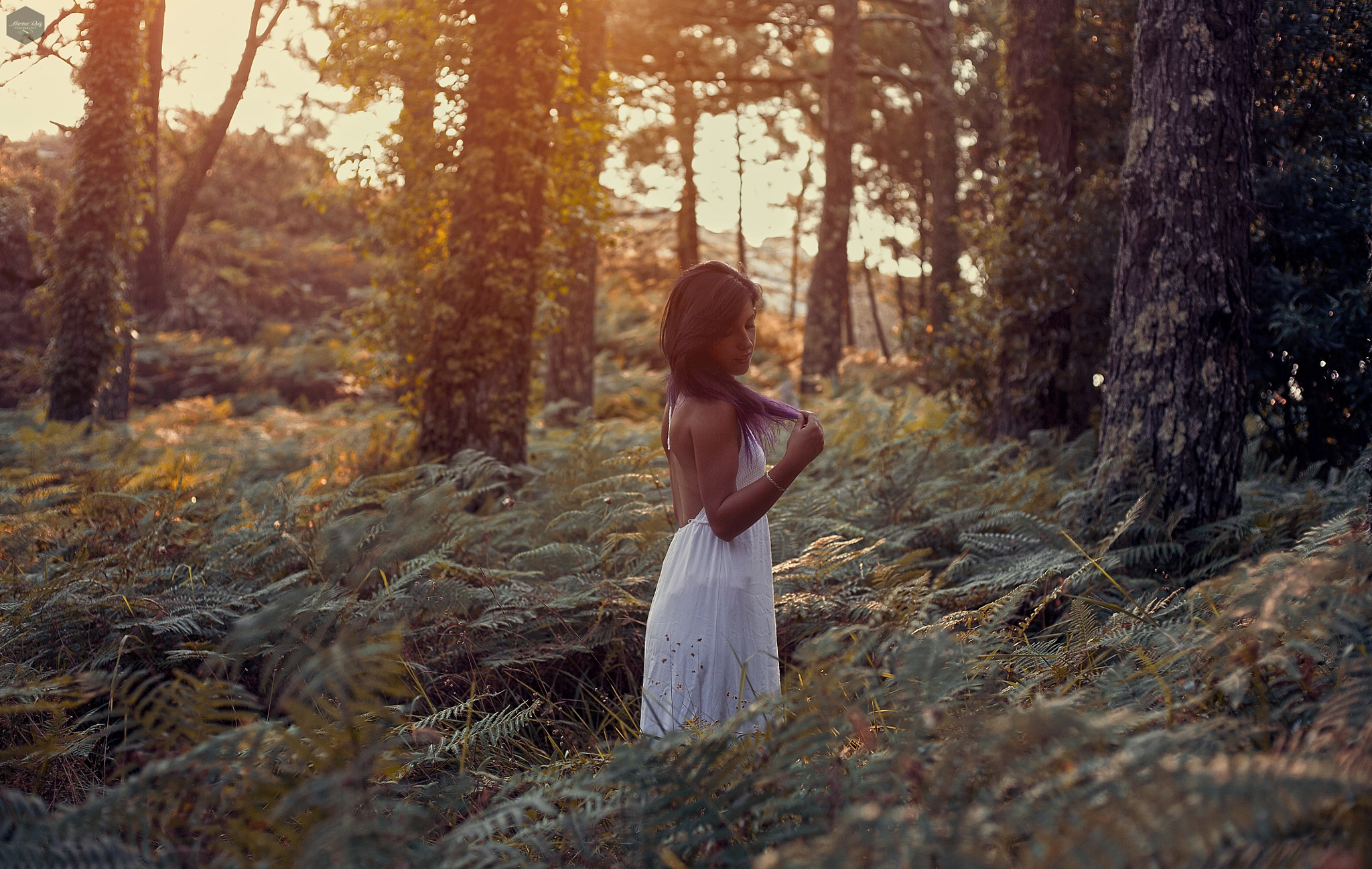 Canon EOS 5D + Canon EF 50mm F1.8 STM sample photo