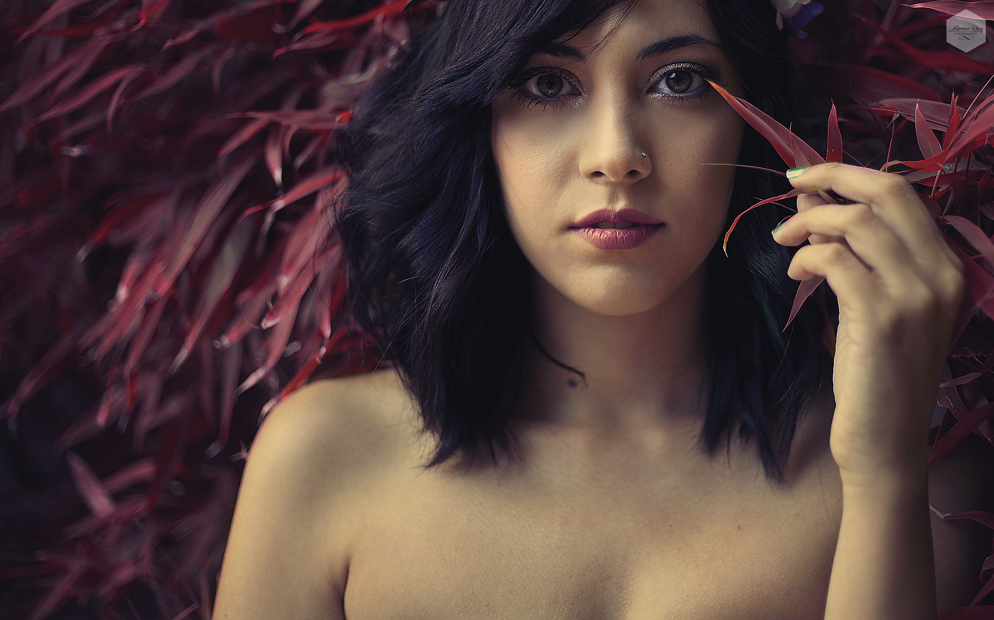 Canon EOS 5D + Canon EF 50mm F1.8 STM sample photo