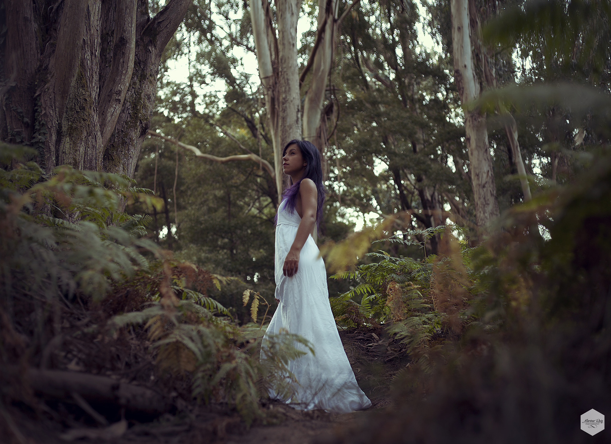 Canon EOS 5D + Canon EF 50mm F1.8 STM sample photo