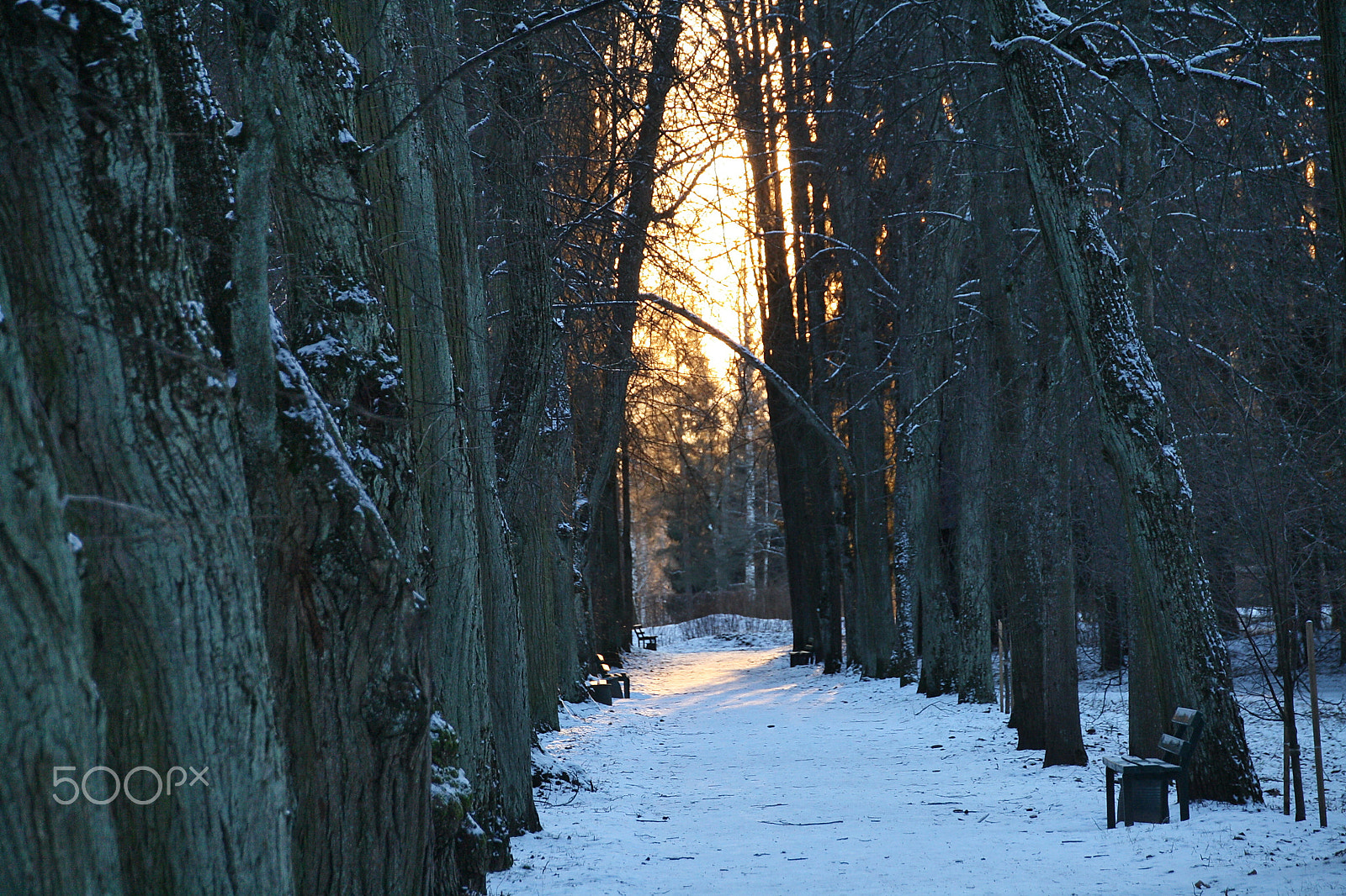 Canon EOS 1000D (EOS Digital Rebel XS / EOS Kiss F) sample photo. Light at the end of the alley photography