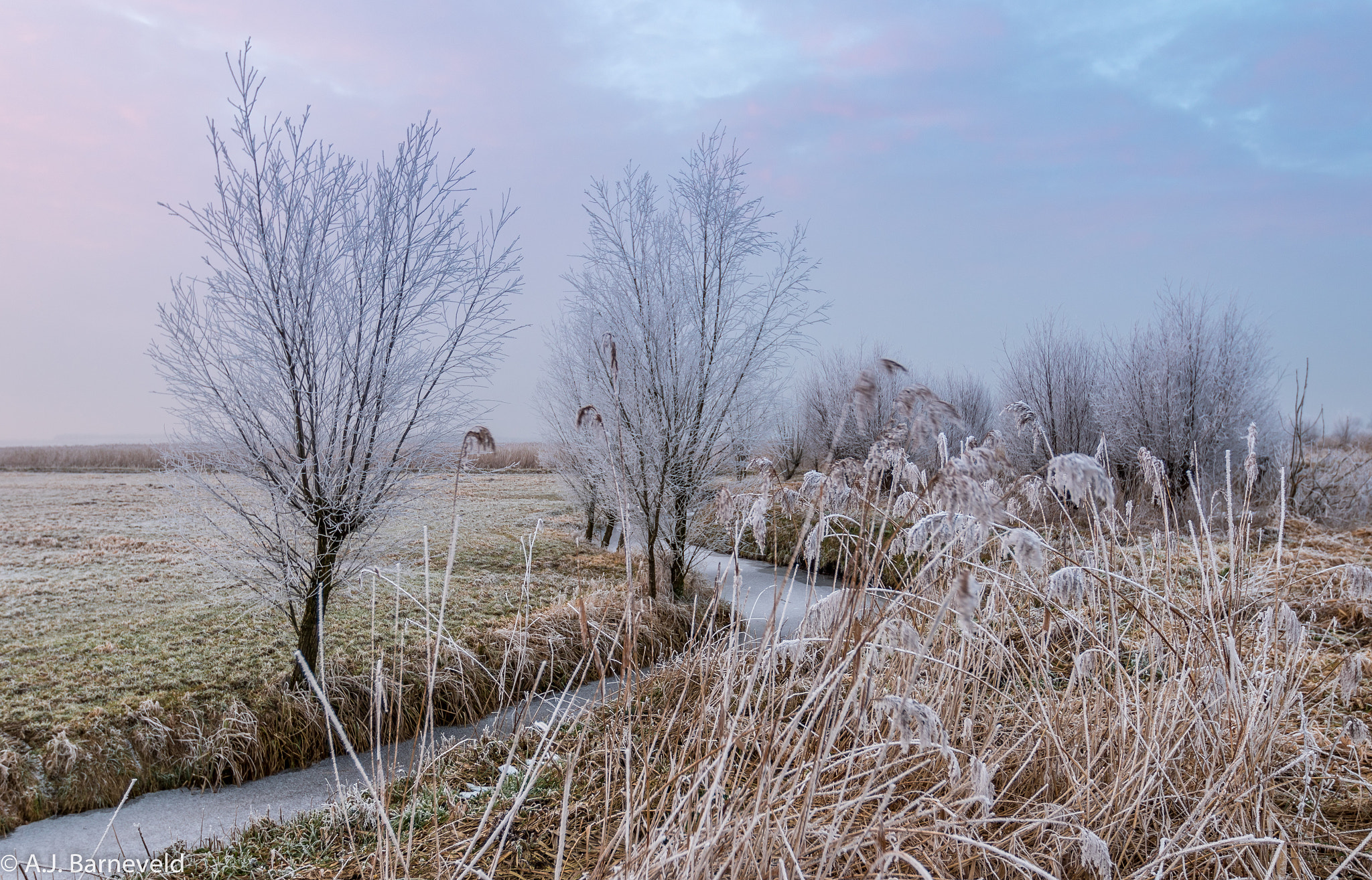 Canon EF 16-35mm F2.8L II USM sample photo. Poldersloot photography