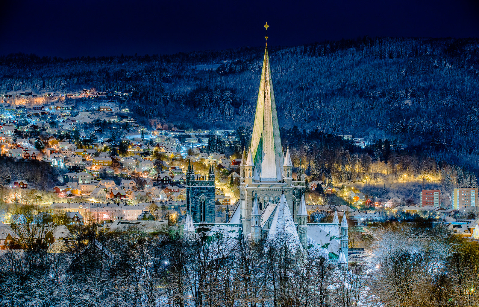 Nikon D800 sample photo. The beautiful nidarosdomen in the winter time! photography