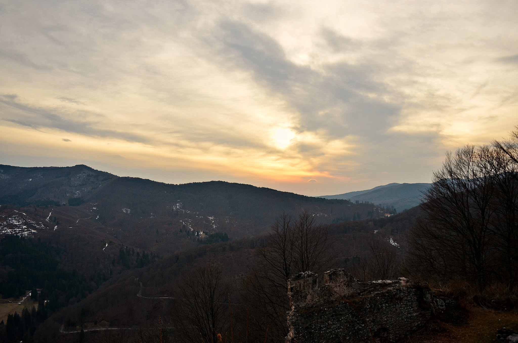 Sigma 18-50mm F2.8-4.5 DC OS HSM sample photo. Woodland sunset photography