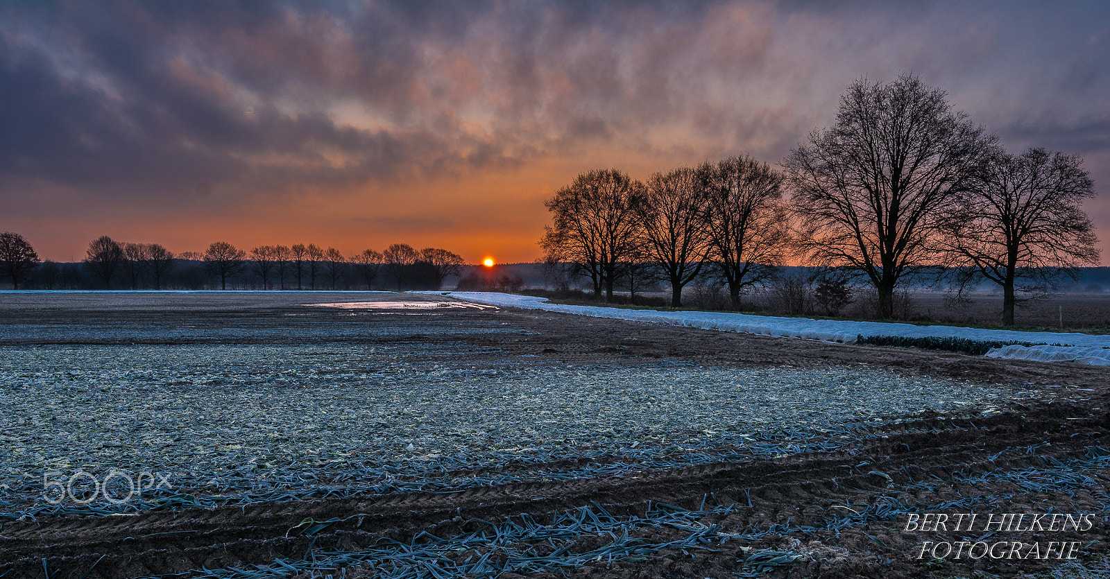 Nikon D7100 + Tamron SP 15-30mm F2.8 Di VC USD sample photo. Lovely sunrise on a cold morning photography