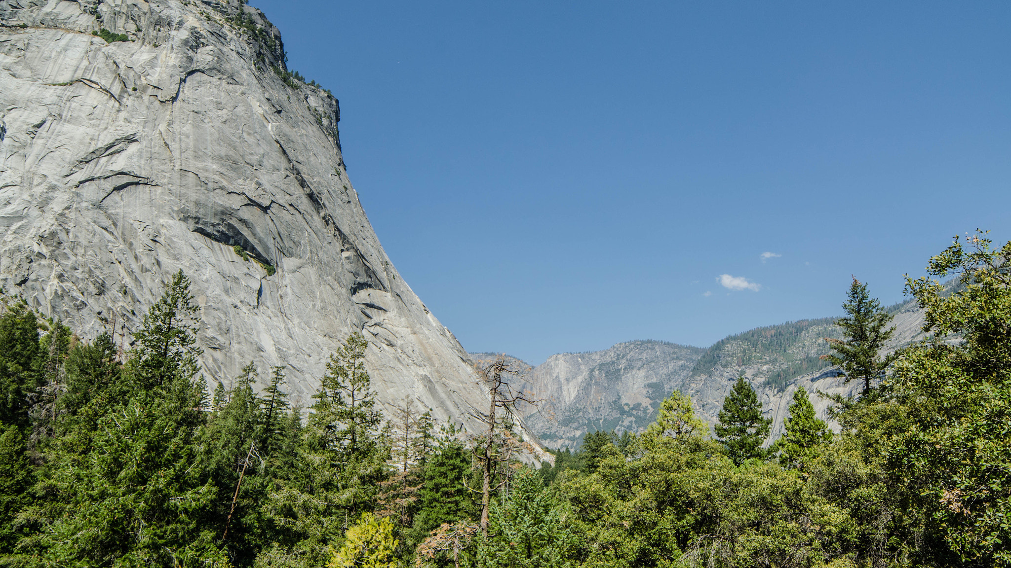 Samyang 14mm F2.8 ED AS IF UMC sample photo. Yosemite photography