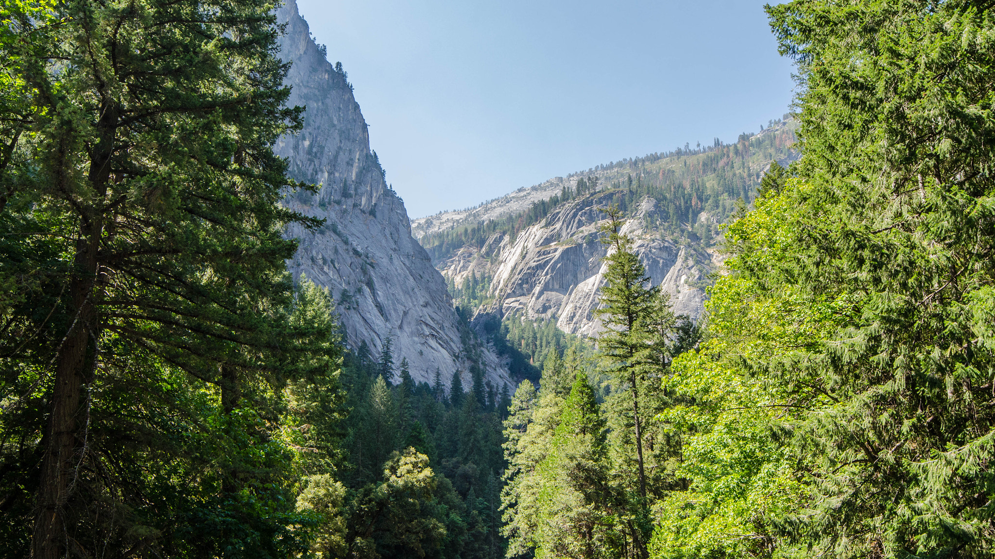 Samyang 14mm F2.8 ED AS IF UMC sample photo. Yosemite photography