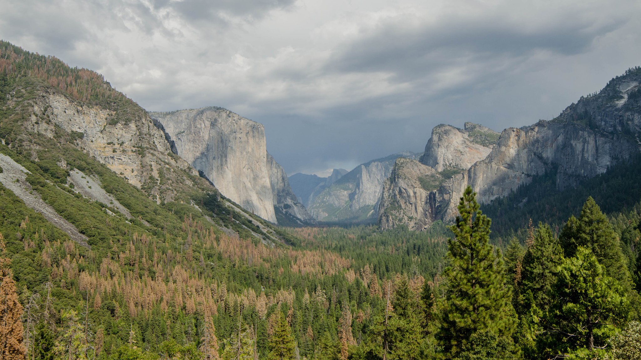 Samyang 14mm F2.8 ED AS IF UMC sample photo. Yosemite photography