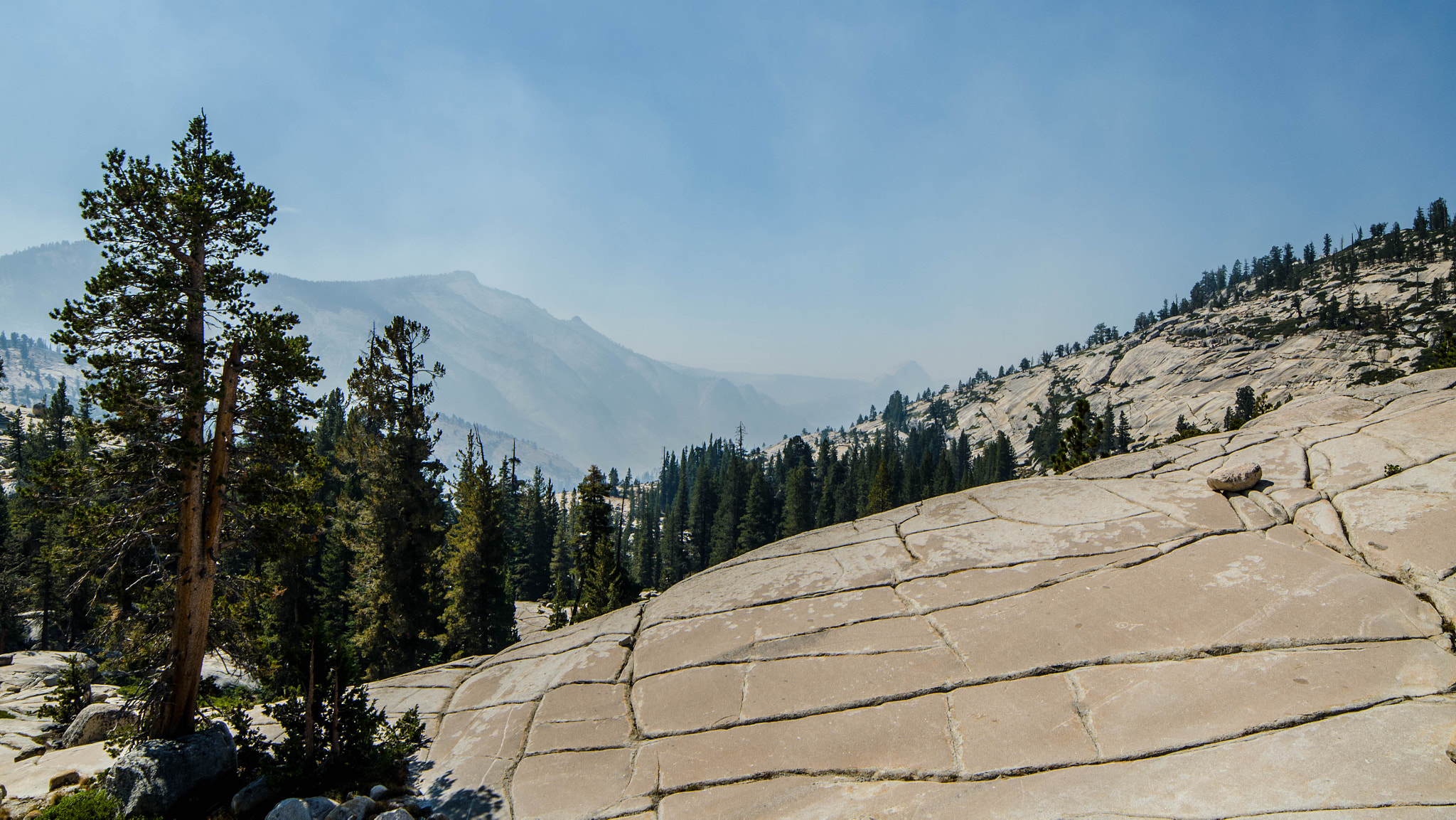 Samyang 14mm F2.8 ED AS IF UMC sample photo. Yosemite photography