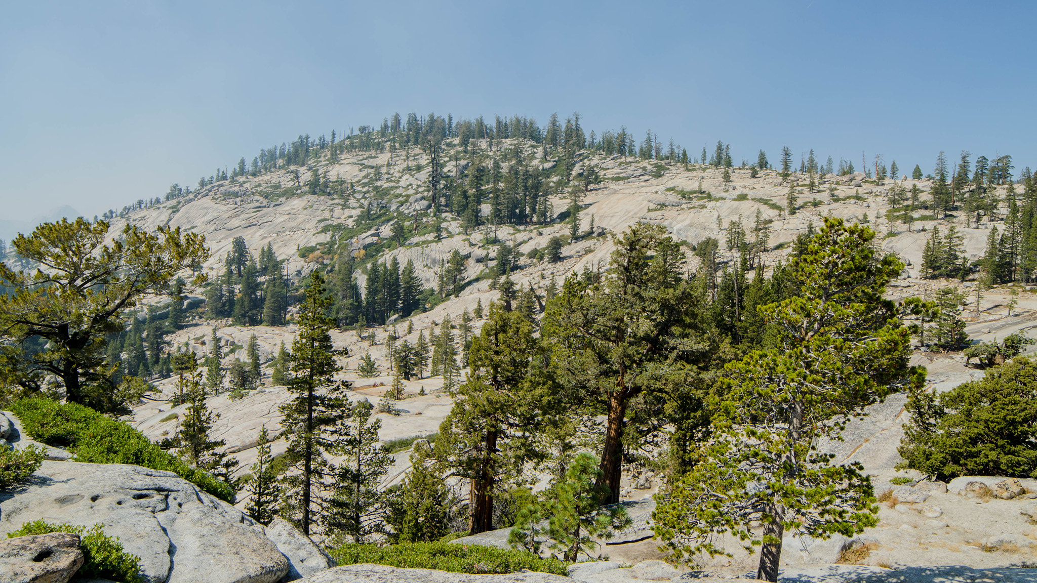 Samyang 14mm F2.8 ED AS IF UMC sample photo. Yosemite photography