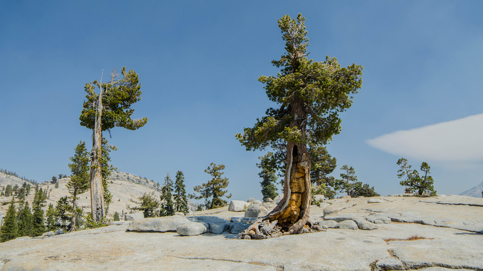 Samyang 14mm F2.8 ED AS IF UMC sample photo. Yosemite photography