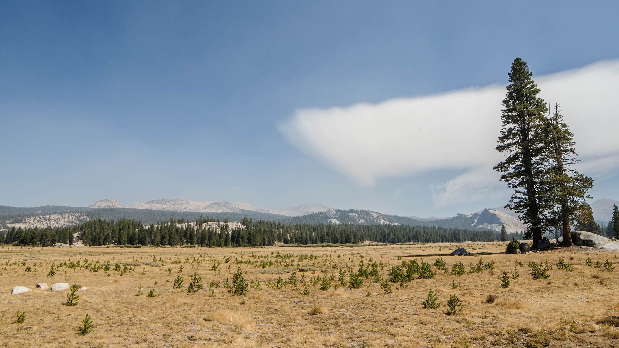 Samyang 14mm F2.8 ED AS IF UMC sample photo. Yosemite photography