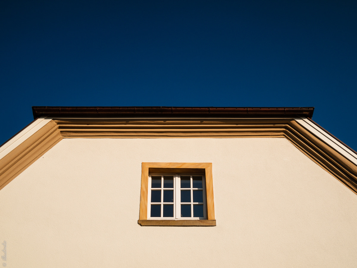 Olympus PEN E-P1 sample photo. Window & roof photography