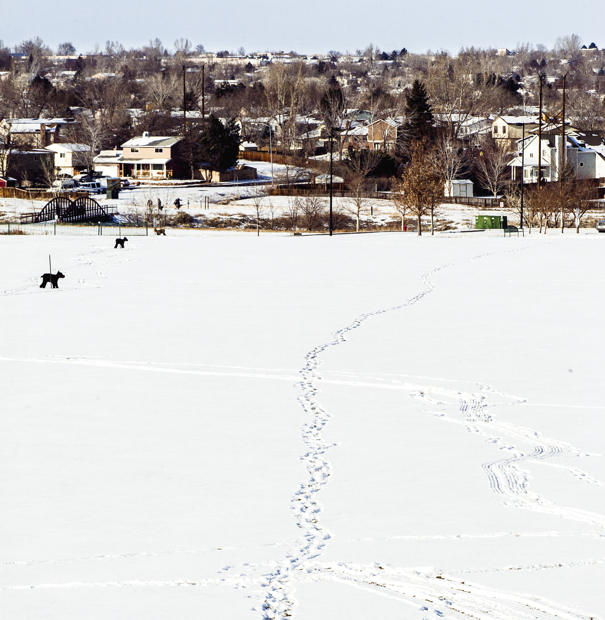 Canon EF 70-300mm F4-5.6 IS USM sample photo. Covered snow park and doggie park photography