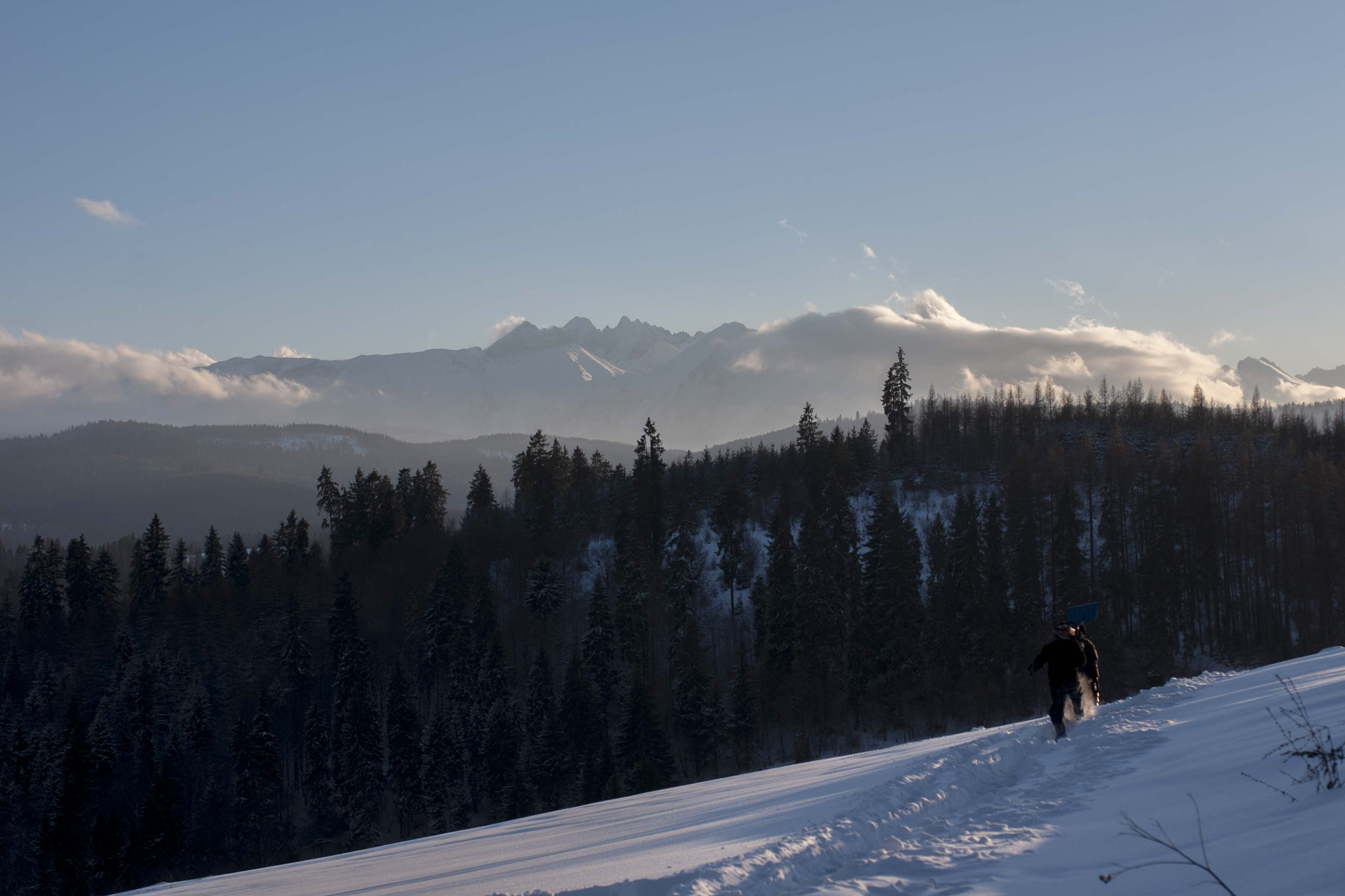 Sony Alpha DSLR-A700 sample photo. Lumberjack with tatra mountains in background. photography