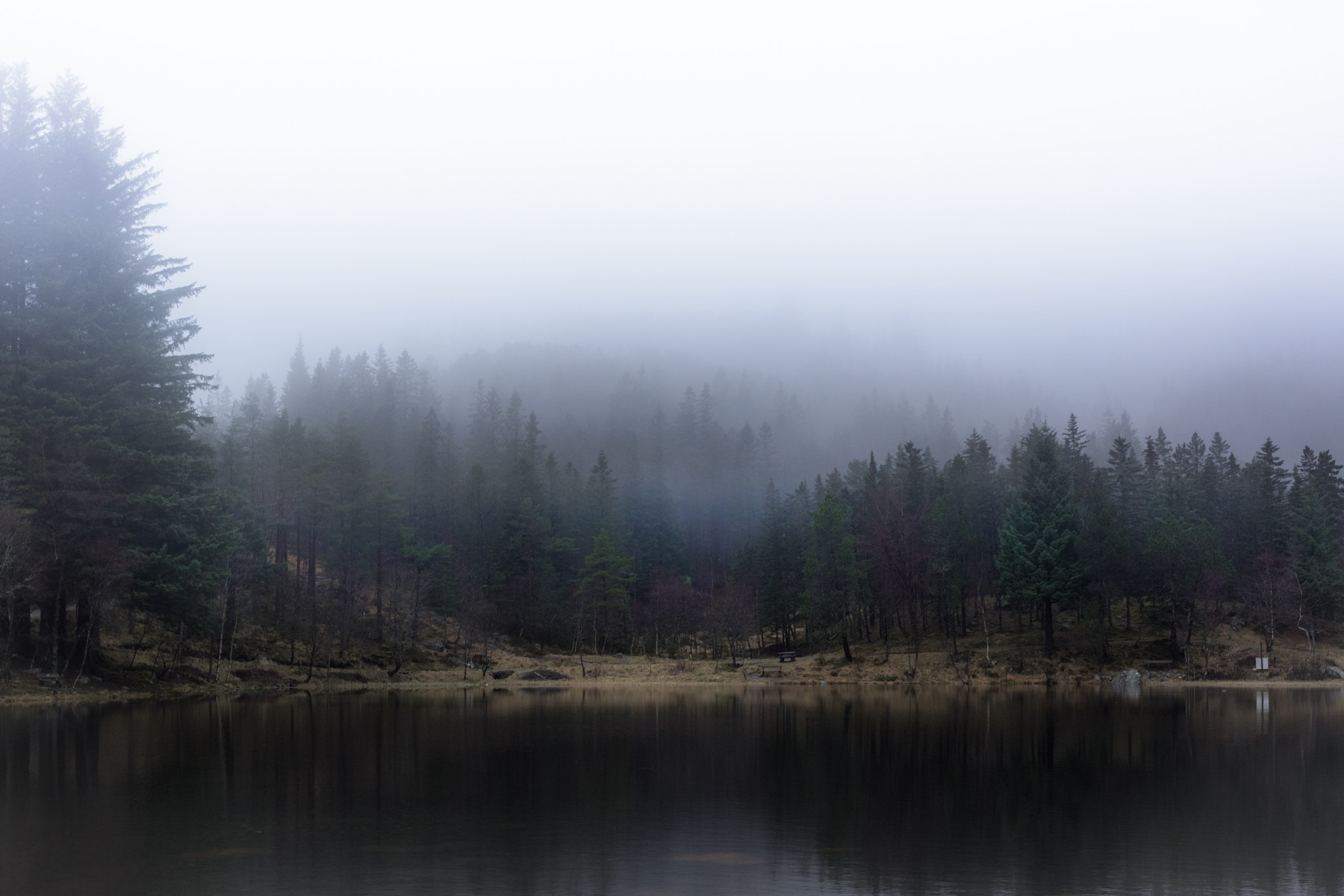 Nikon D7100 sample photo. Foggy lake near floyen (bergen) photography