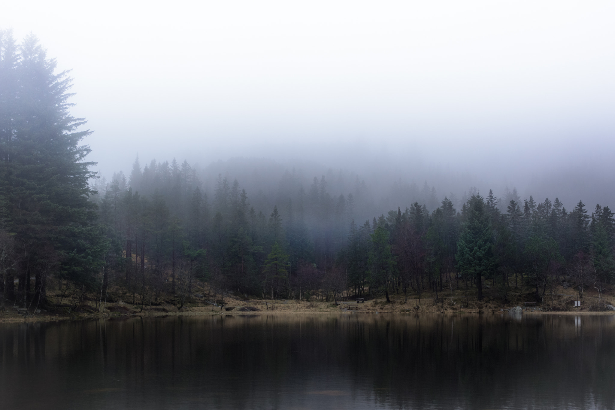 Nikon D7100 + Nikon AF-S Nikkor 28mm F1.8G sample photo. Foggy lake near floyen (bergen) photography