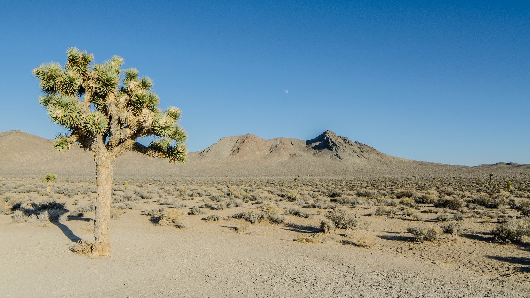 Samyang 14mm F2.8 ED AS IF UMC sample photo. Death valley photography