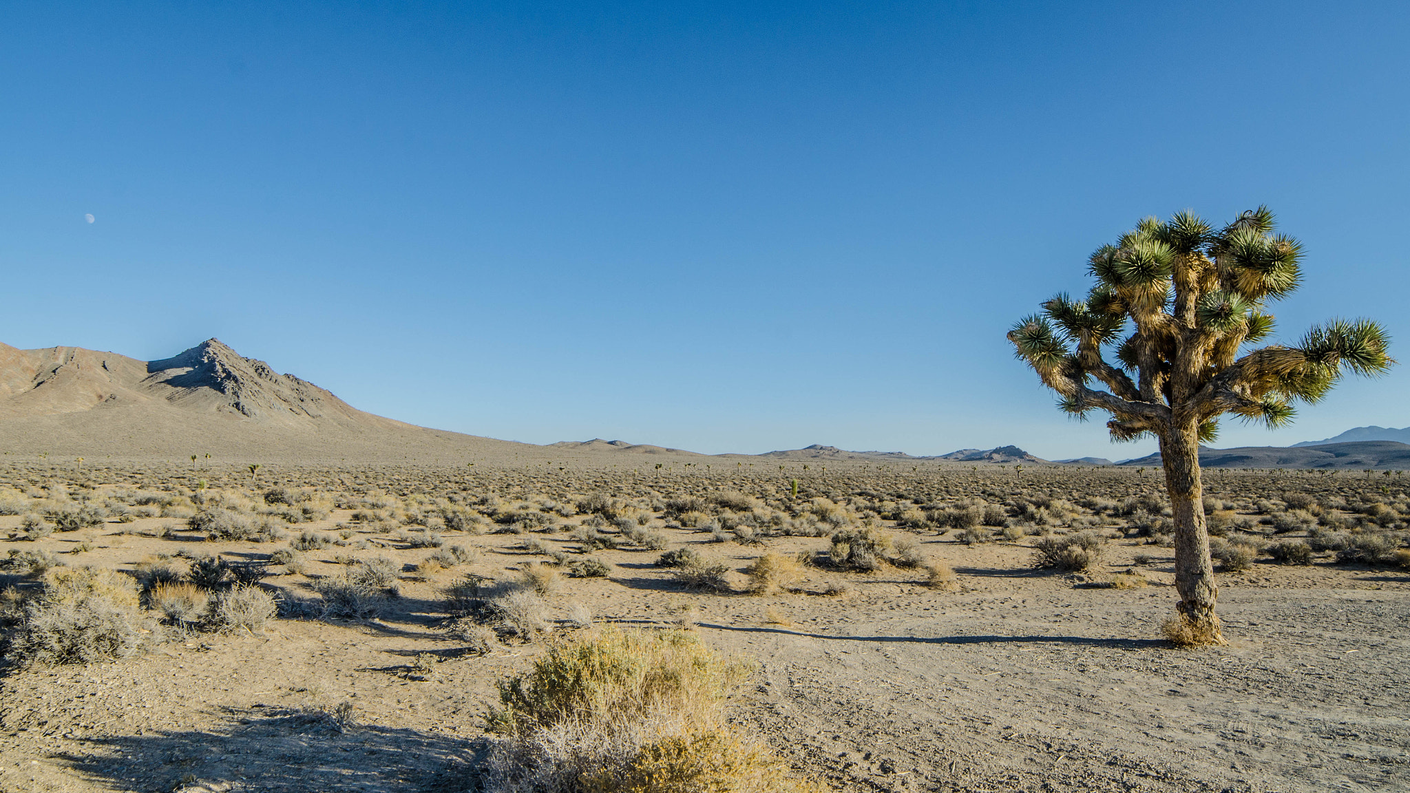 Samyang 14mm F2.8 ED AS IF UMC sample photo. Death valley photography