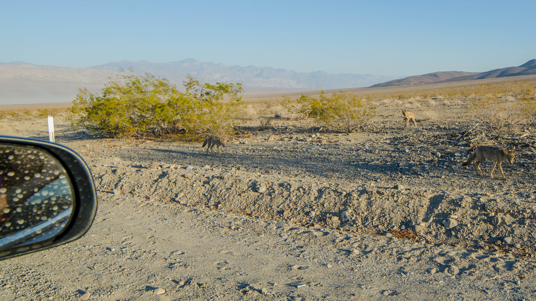 Samyang 14mm F2.8 ED AS IF UMC sample photo. Death valley photography