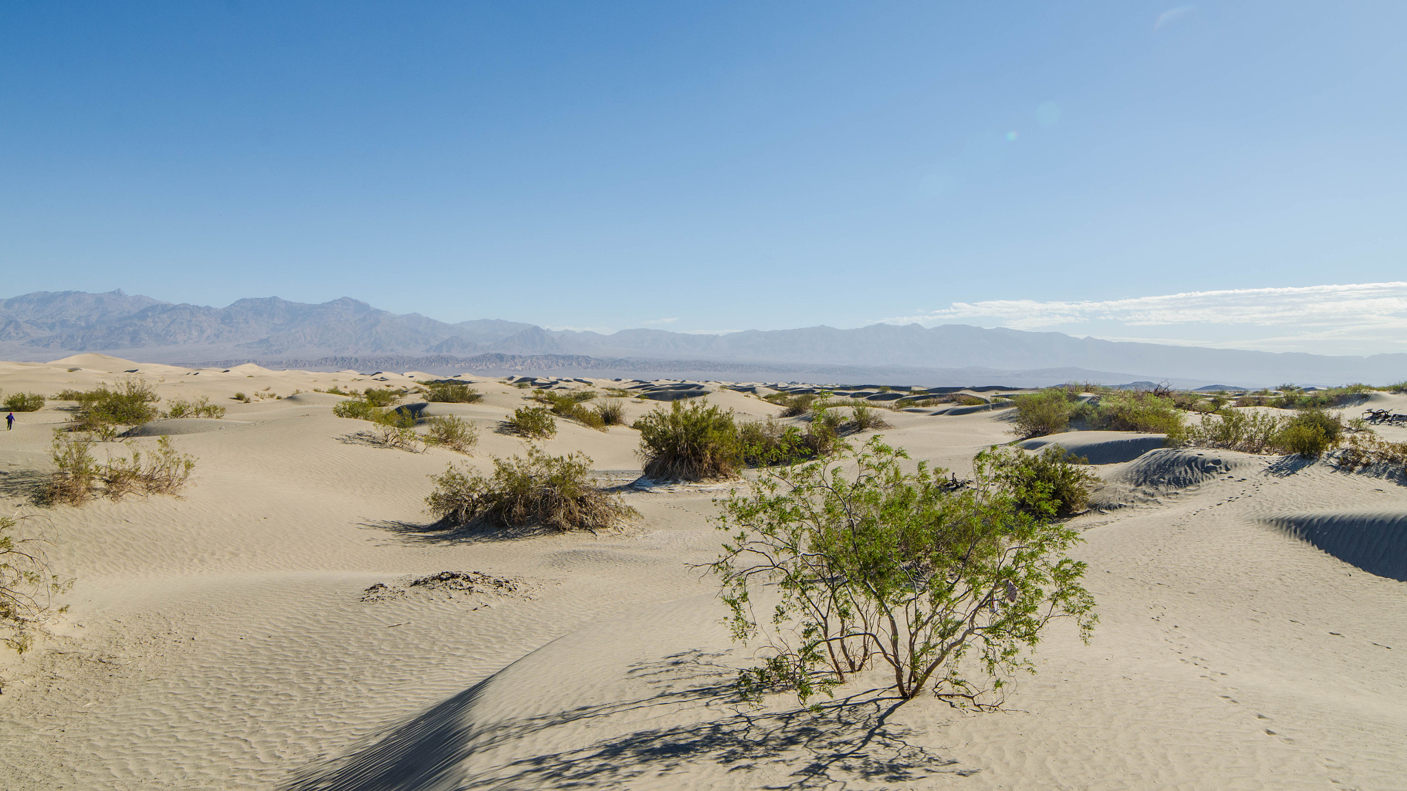Samyang 14mm F2.8 ED AS IF UMC sample photo. Death valley photography